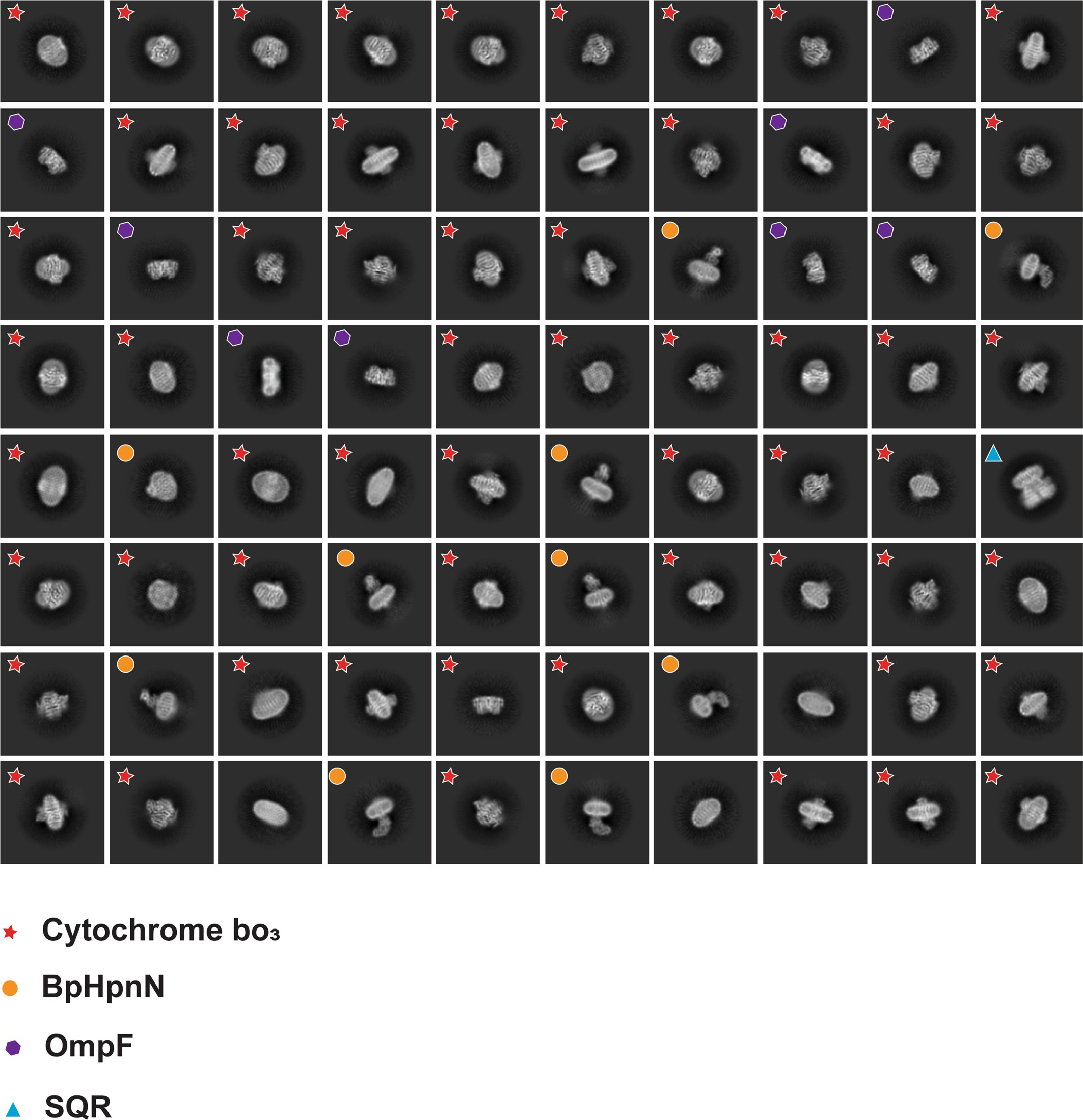 Extended Data Fig. 3