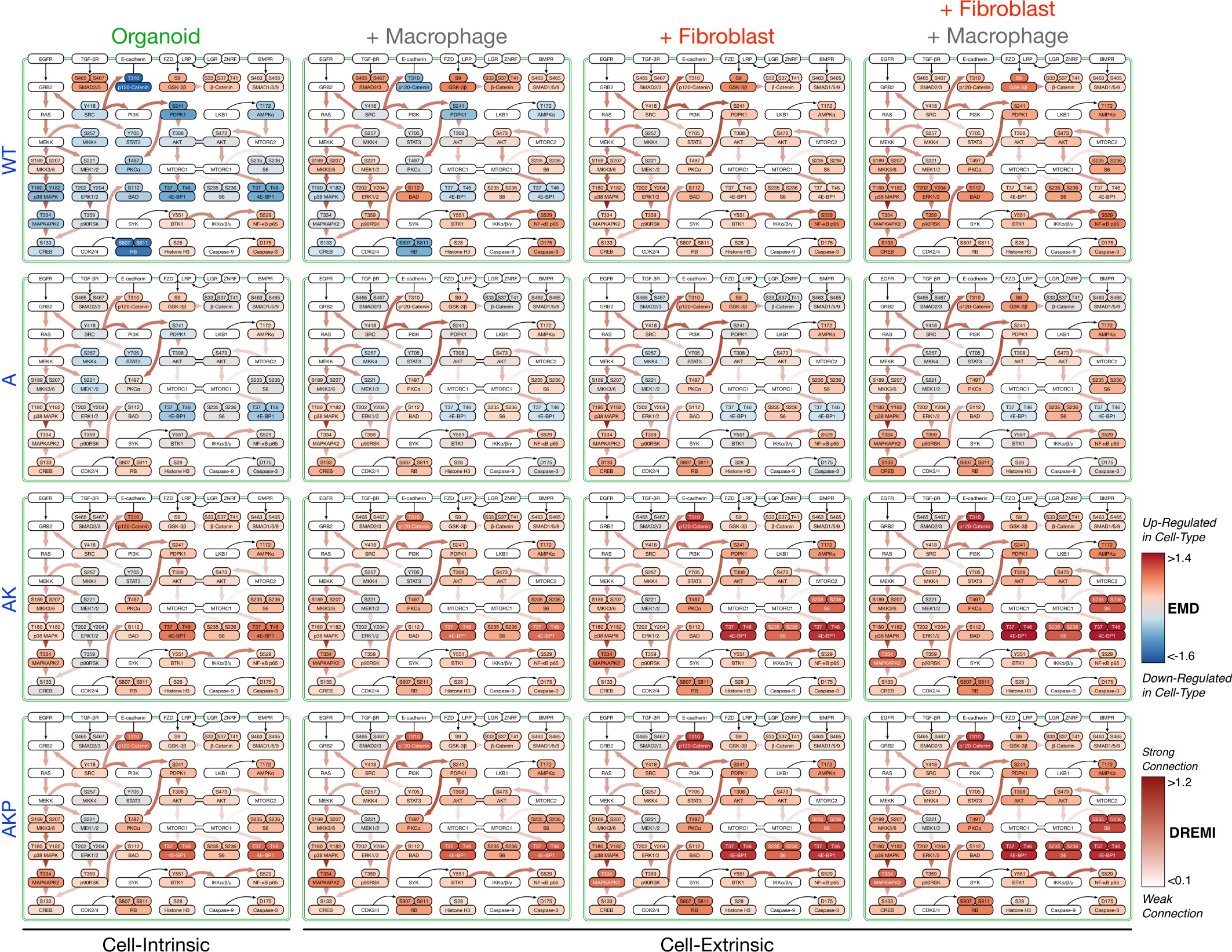 Supplementary Figure 7