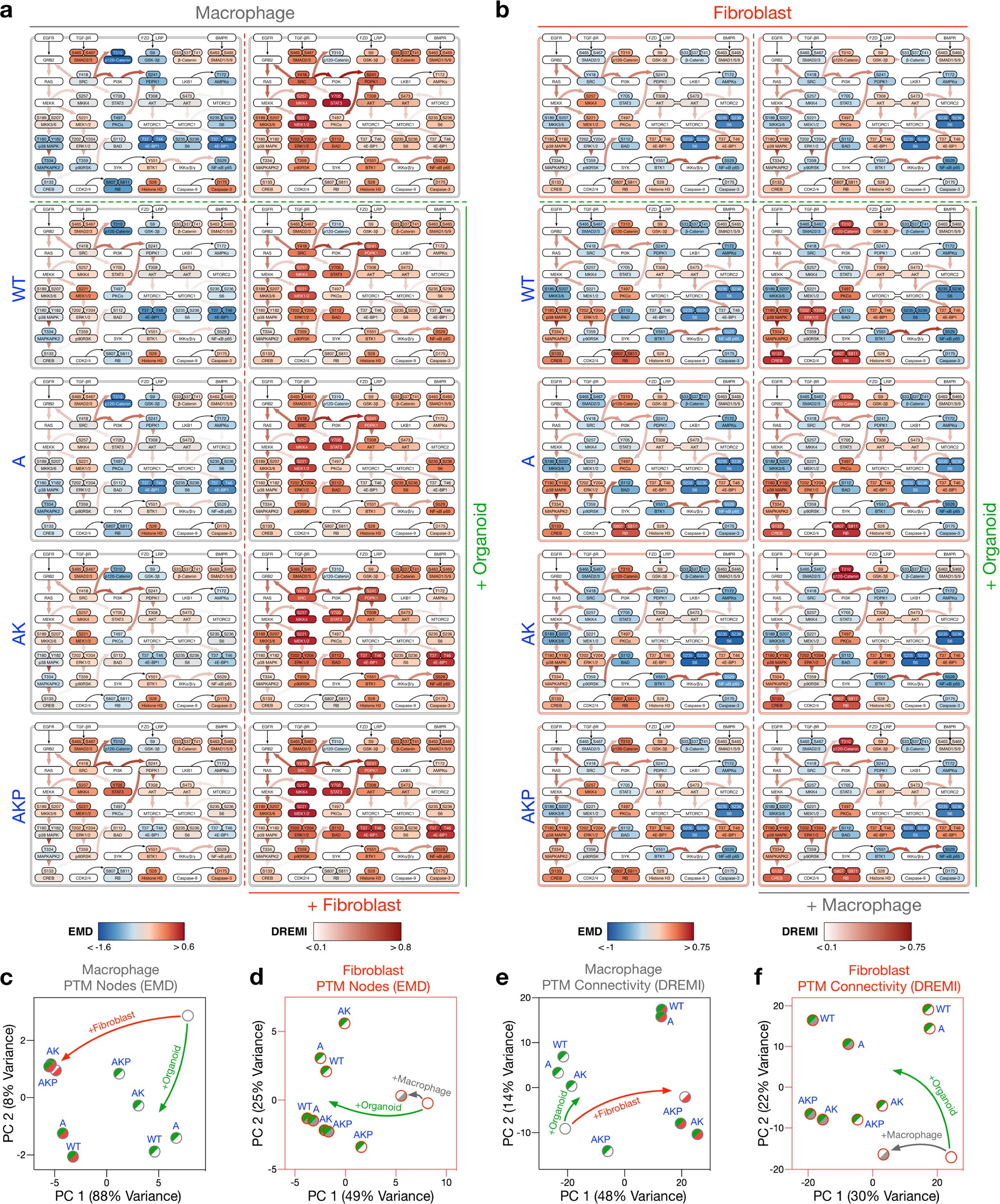 Supplementary Figure 8