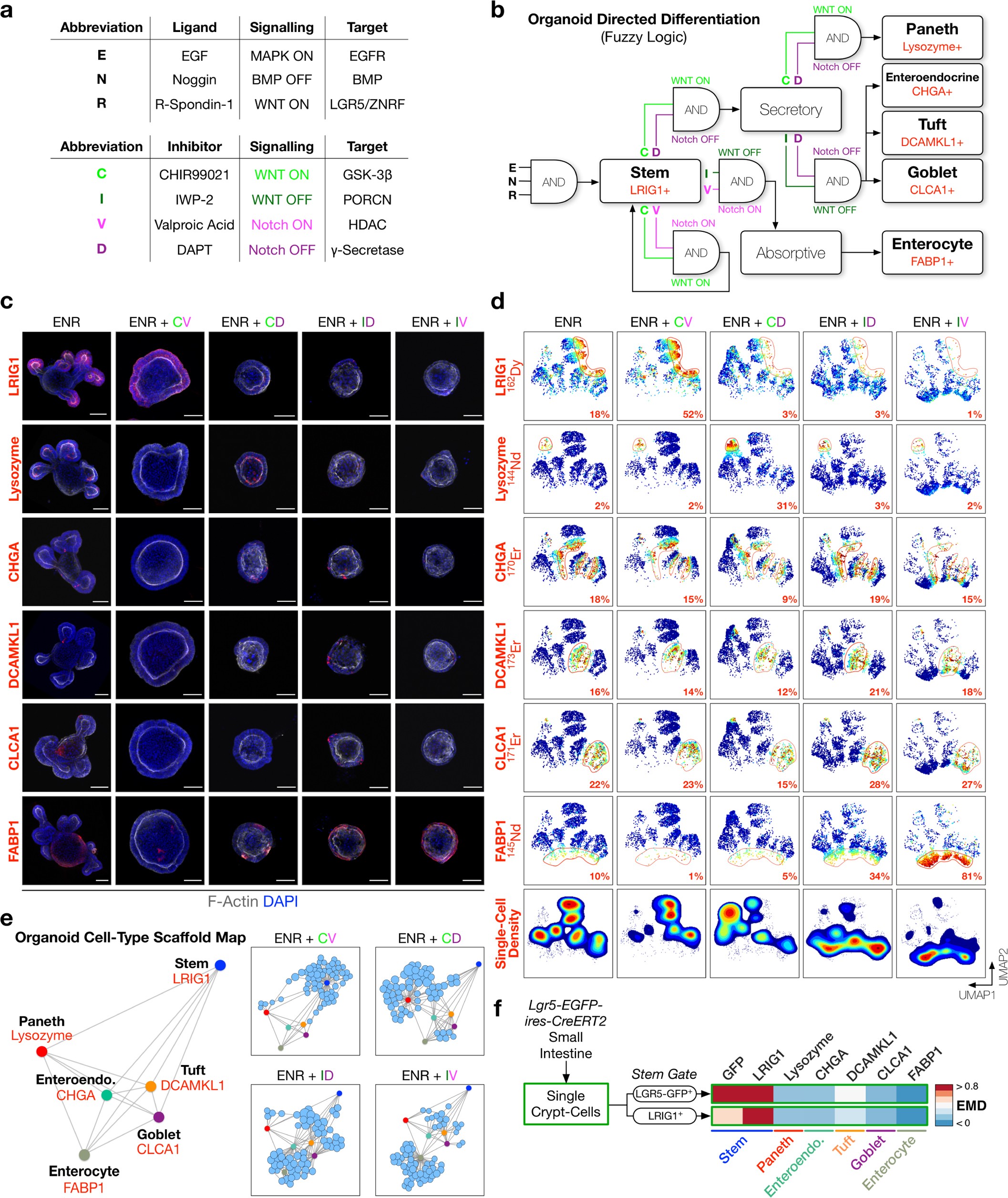 Supplementary Figure 1