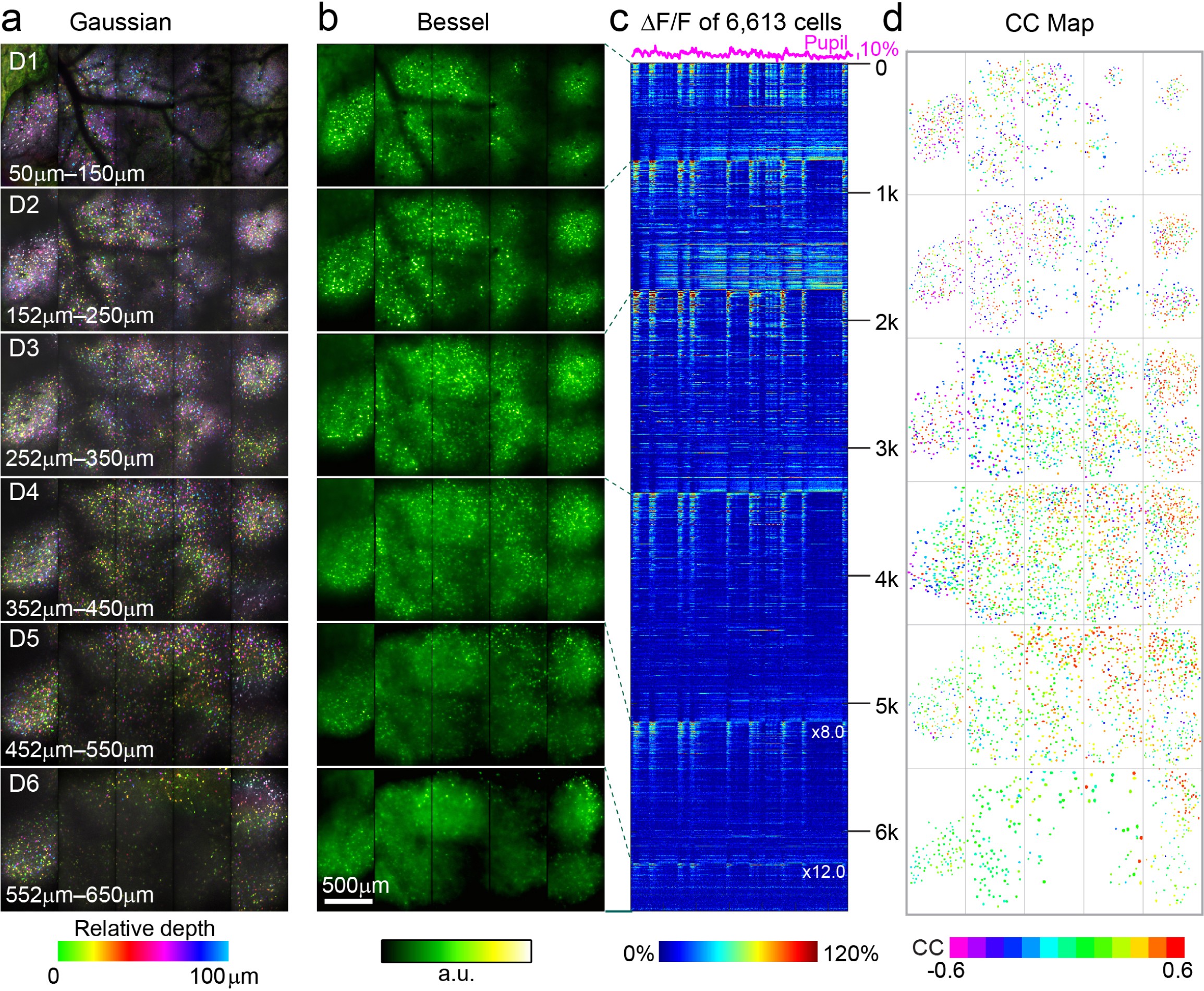 Supplementary Figure 10