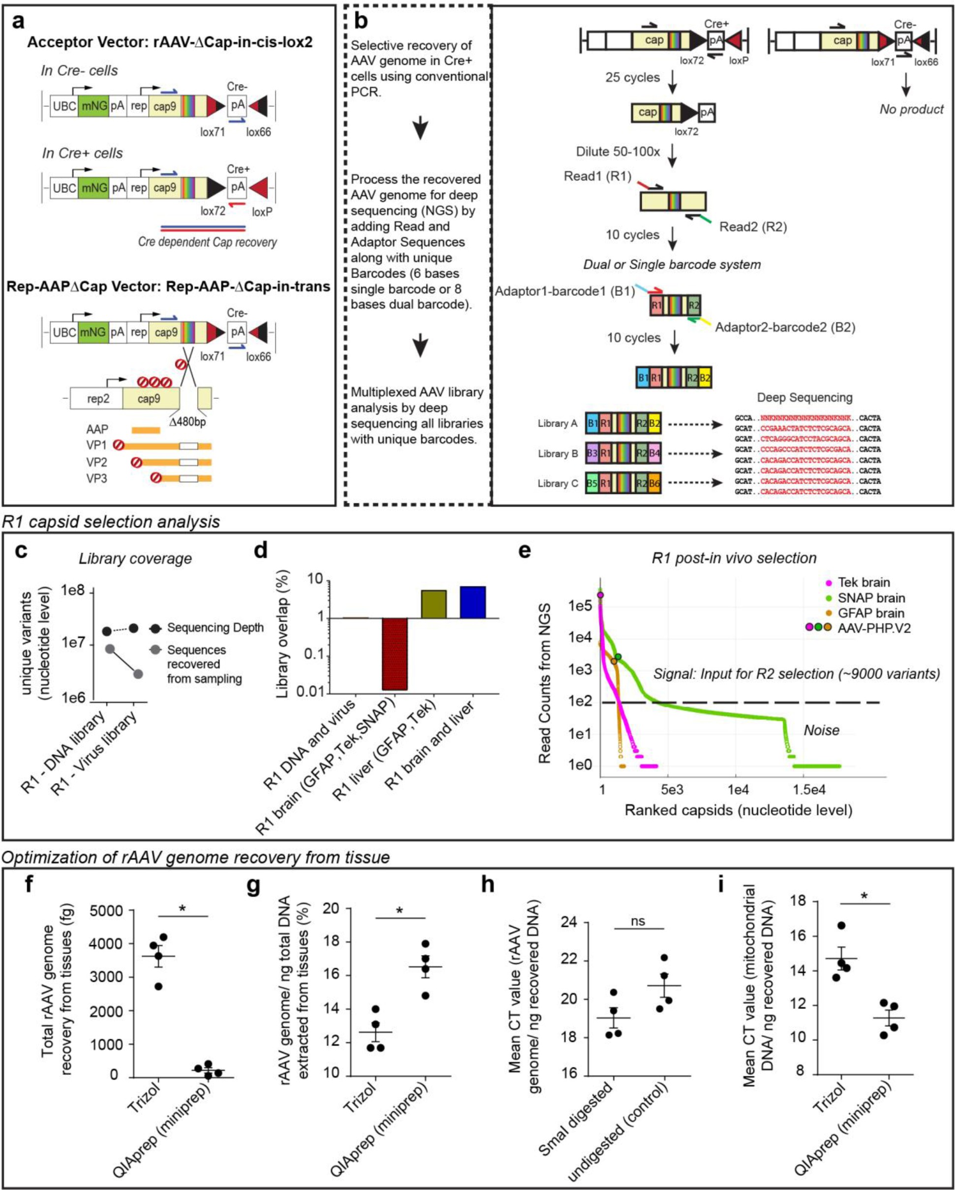 Supplementary Figure 1: Extended Schematic for Multiplexed-CREATE and Analysis of Round-1 Selection.