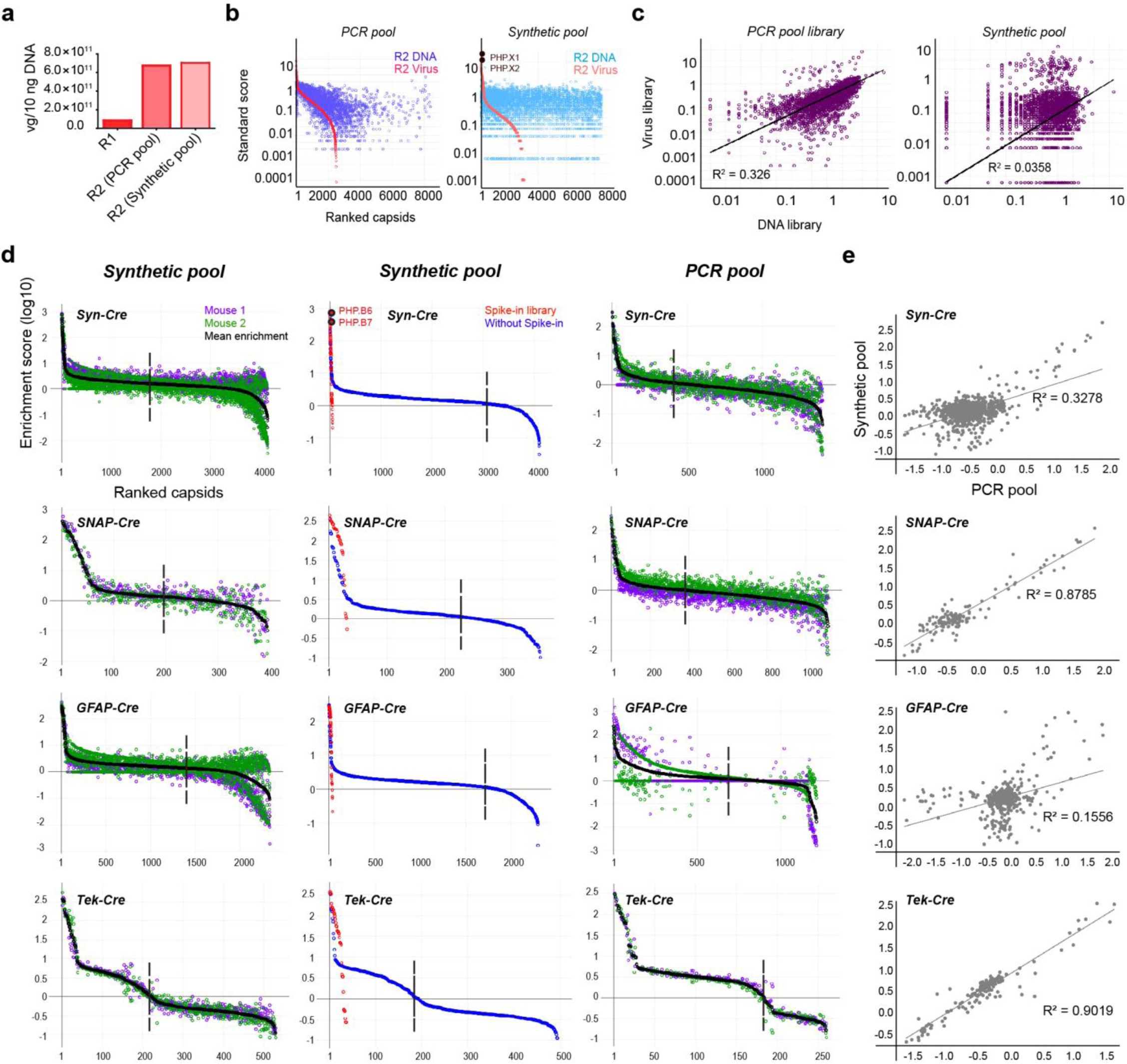 Supplementary Figure 2: Analysis of 7-mer-i rAAV Libraries From Round-2 Selections.