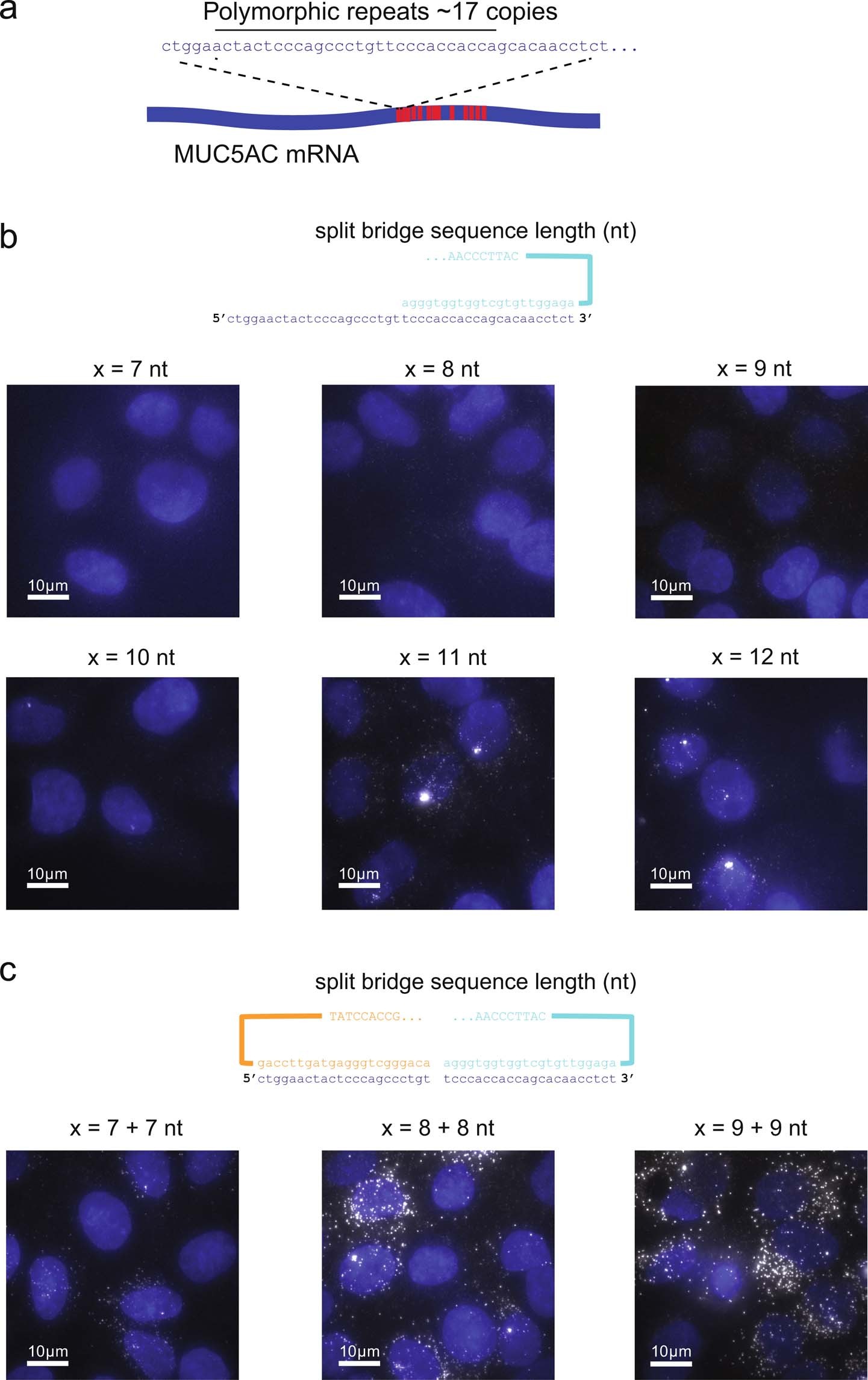 Extended Data Fig. 1