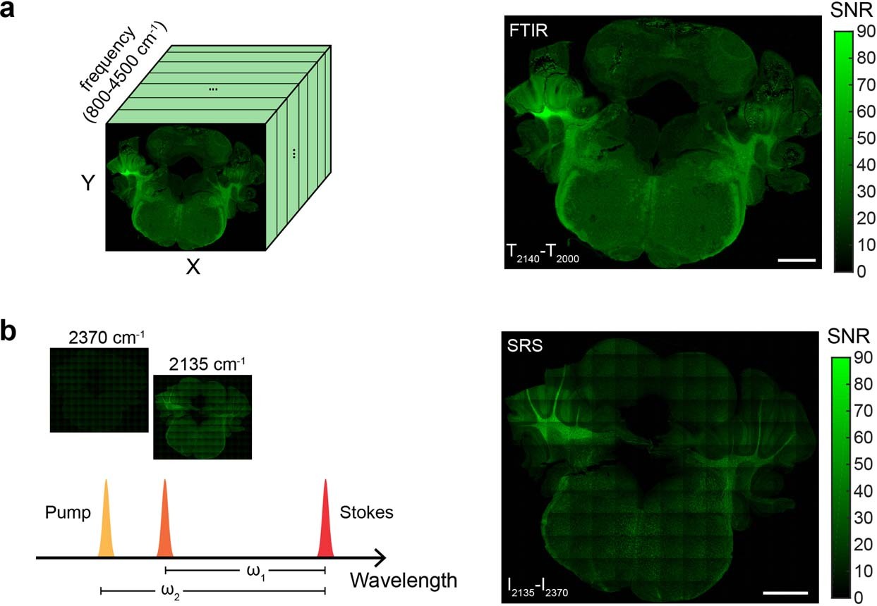Extended Data Fig. 3