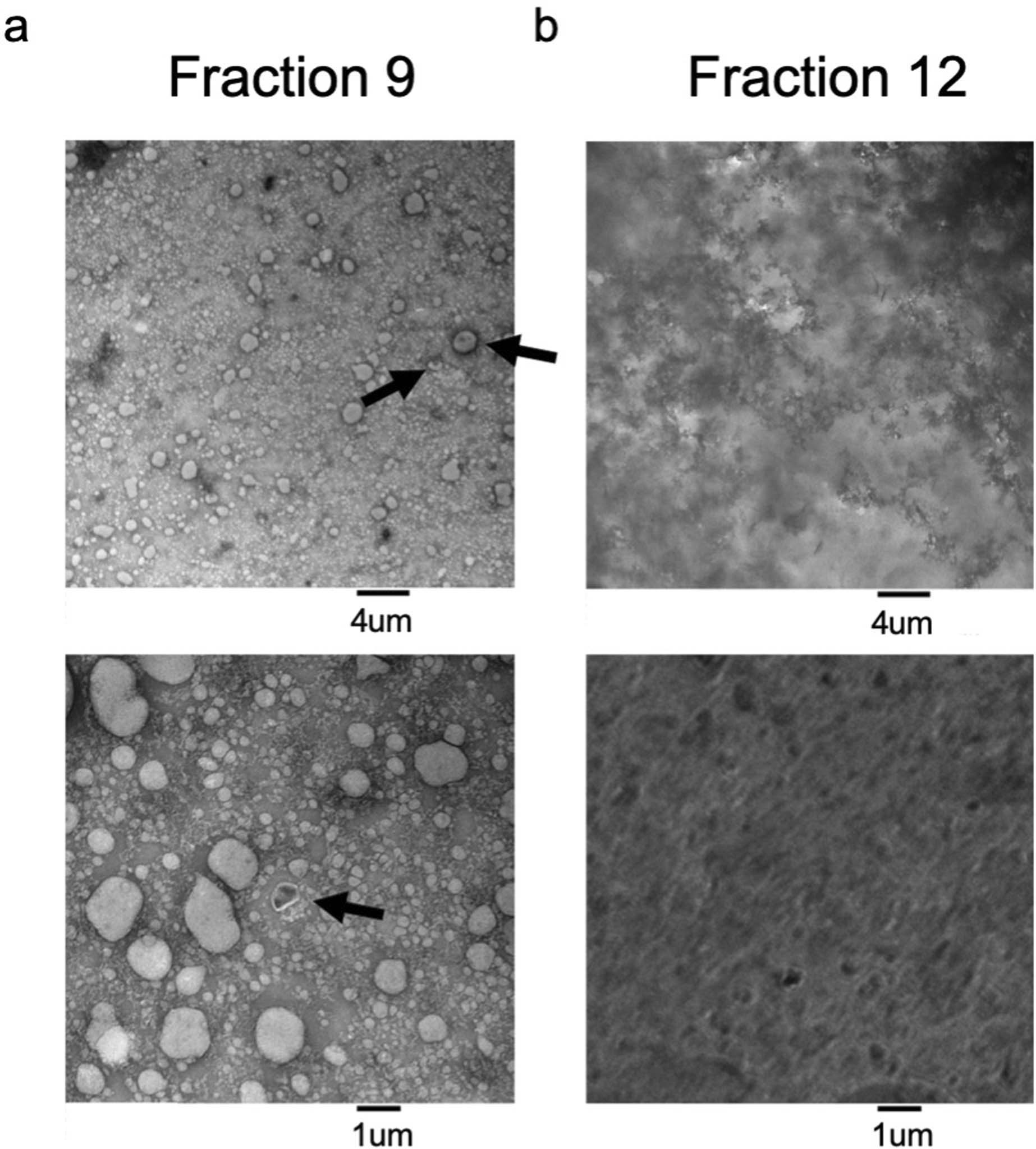 Extended Data Fig. 2