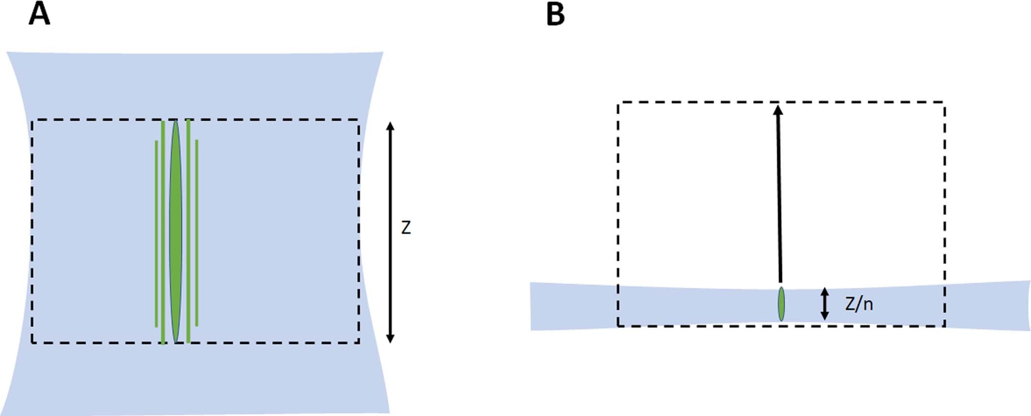 Extended Data Fig. 10: Extended depth of focus vs projection method.