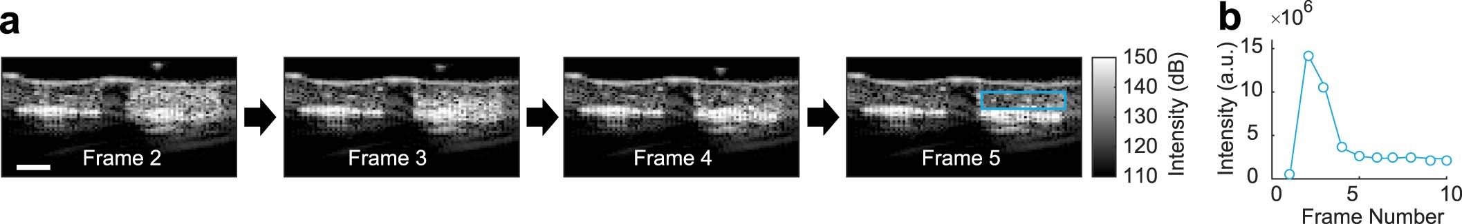 Extended Data Fig. 5