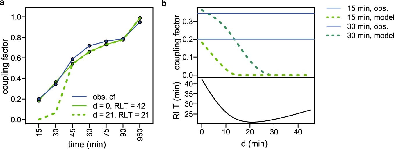 Extended Data Fig. 6: Coupling factors predicted from models with and without initial delay.