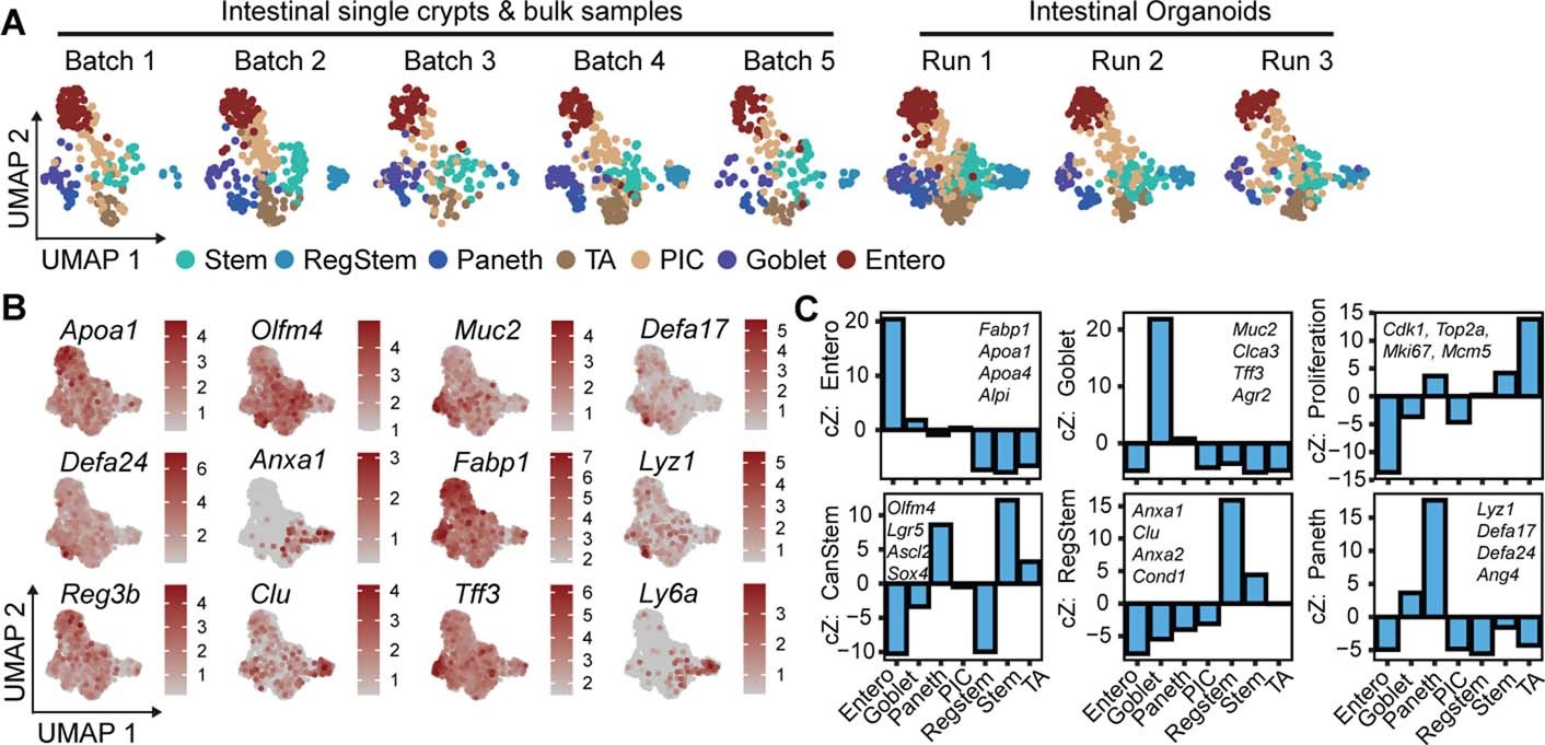 Extended Data Fig. 9