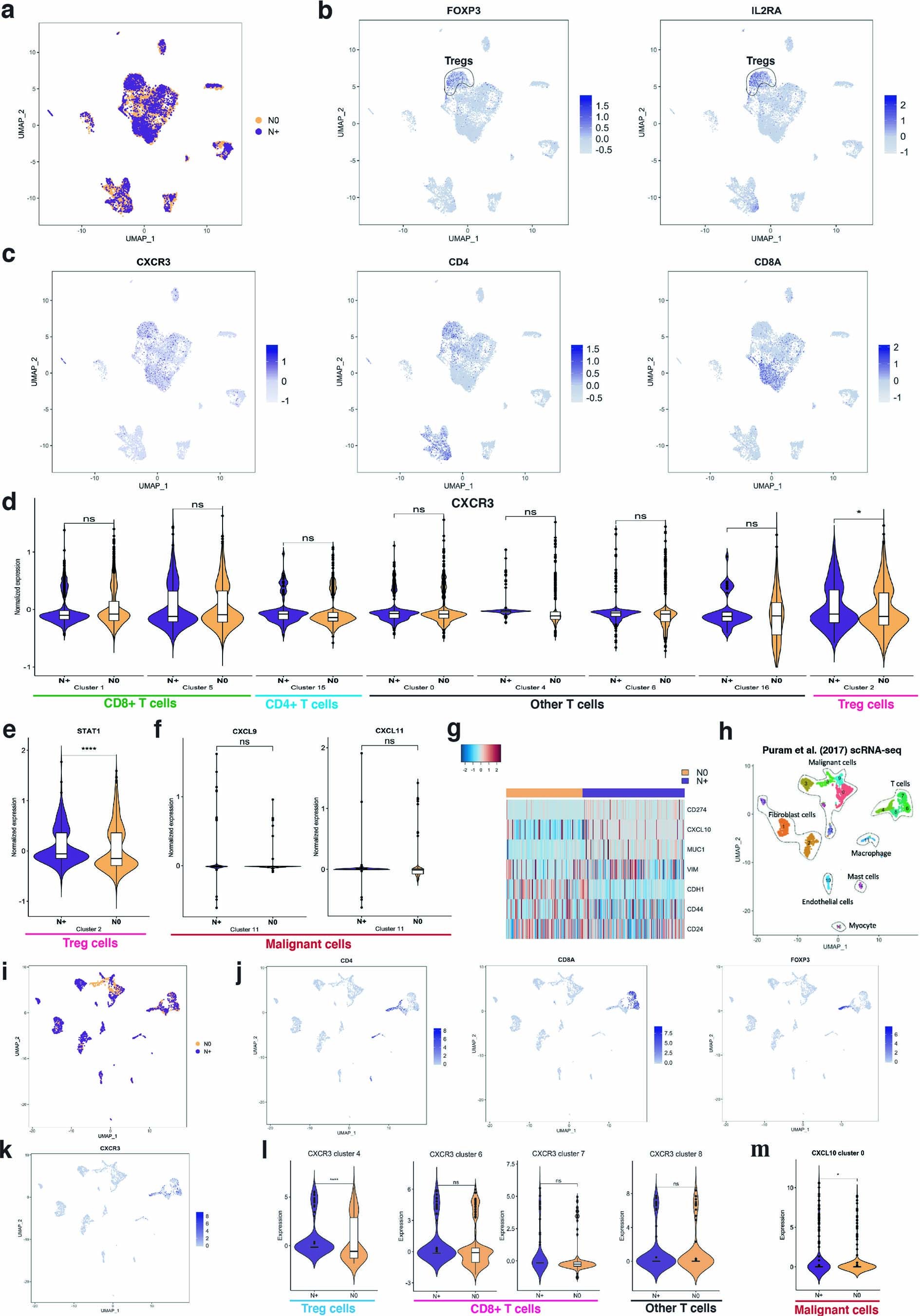 Extended Data Fig. 9: Additional scRNA-seq analysis of primary HNSCC samples and scRNA-seq analysis using public domain data from Puram et al. (2017)34.