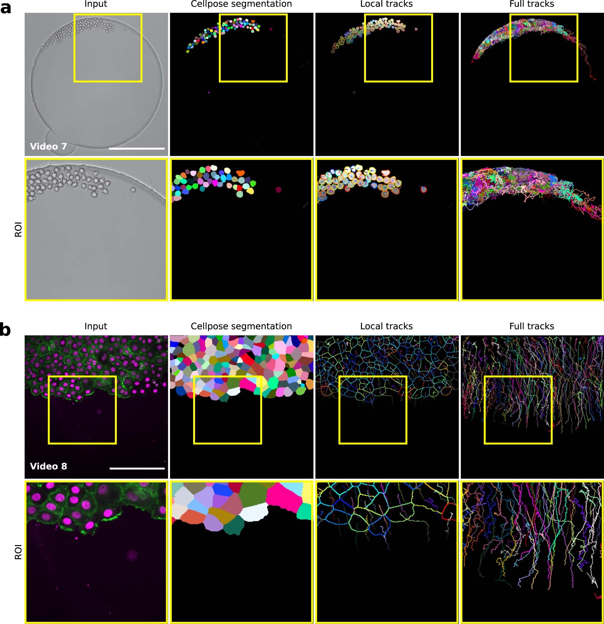 Extended Data Fig. 3