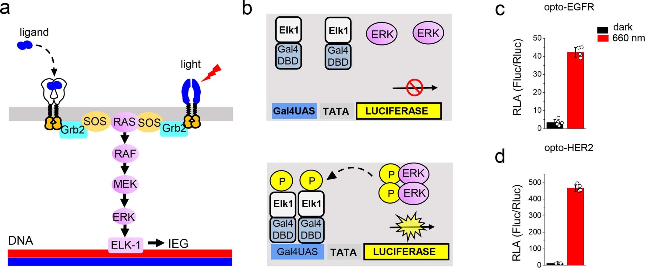 Extended Data Fig. 2