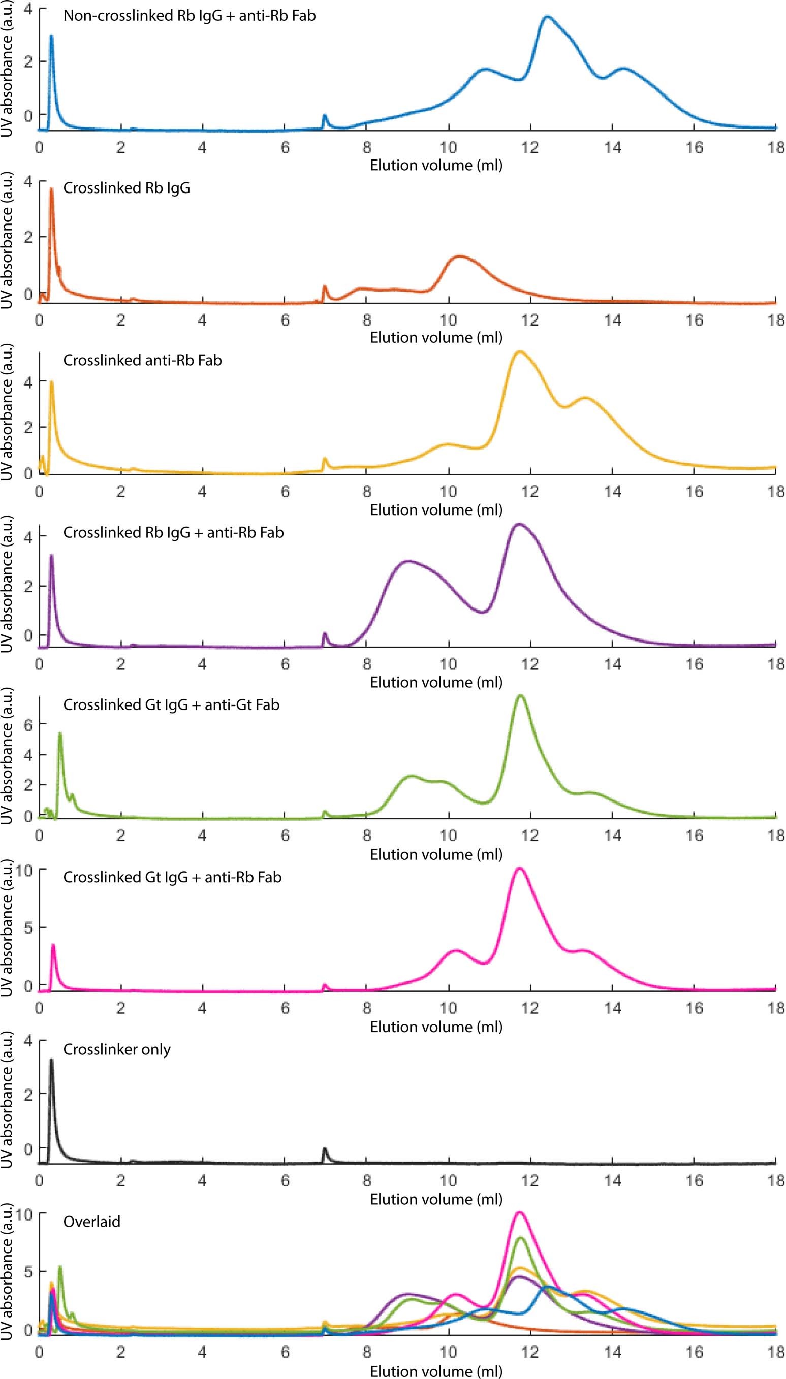 Extended Data Fig. 2: Gel filtration chromatography of products formed under optimized crosslinking conditions.