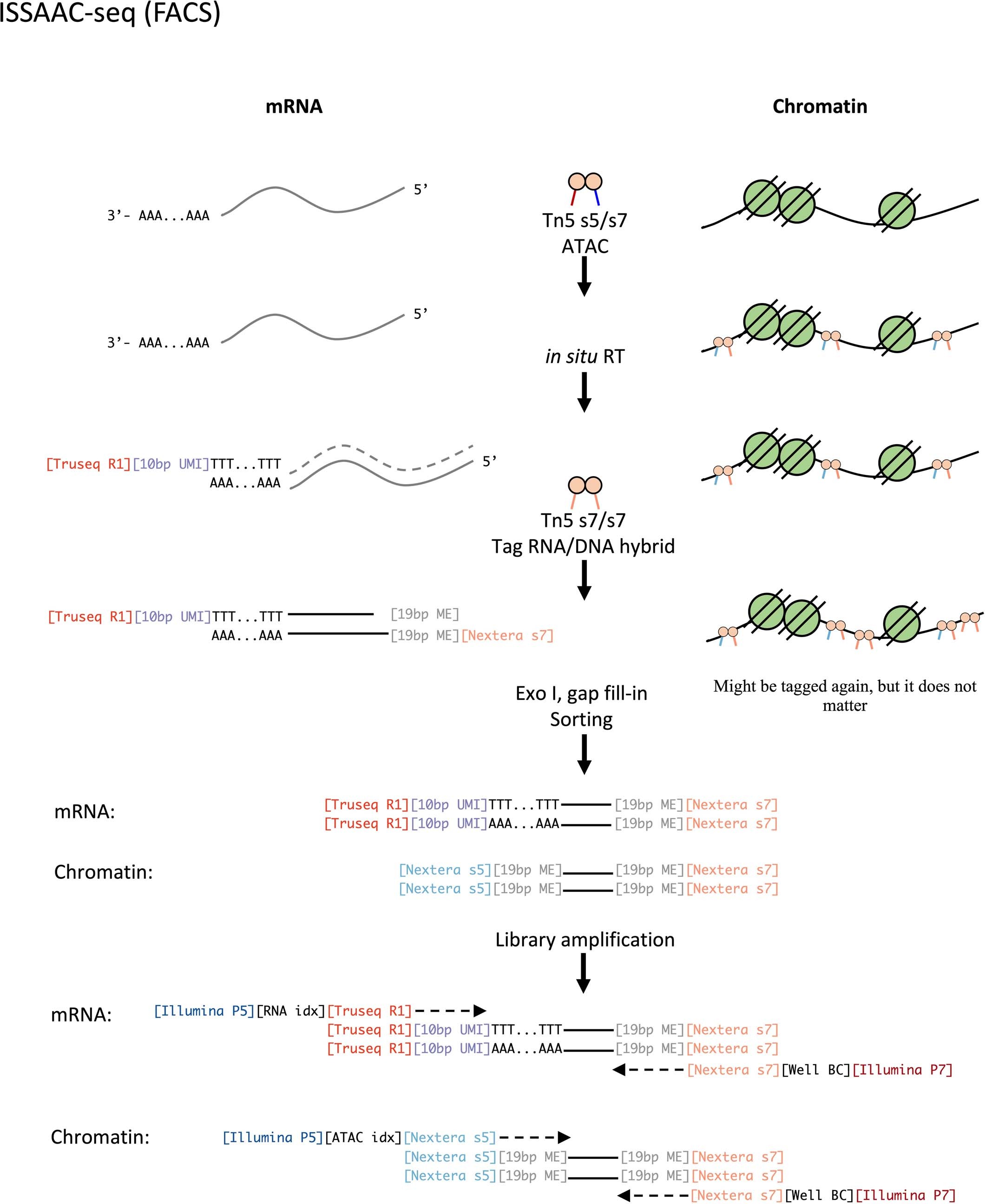 Extended Data Fig. 1