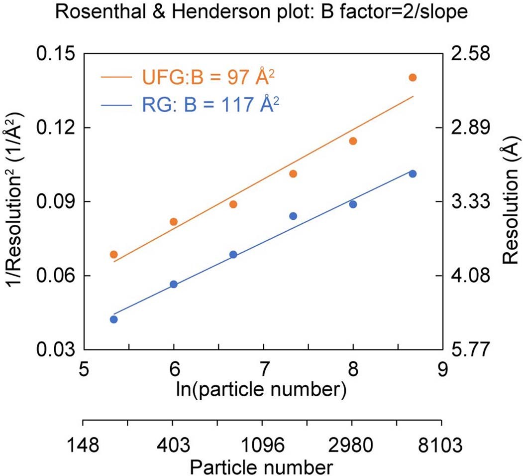 Extended Data Fig. 8: Performance comparison of UFG and rough graphene for cryo-EM imaging.