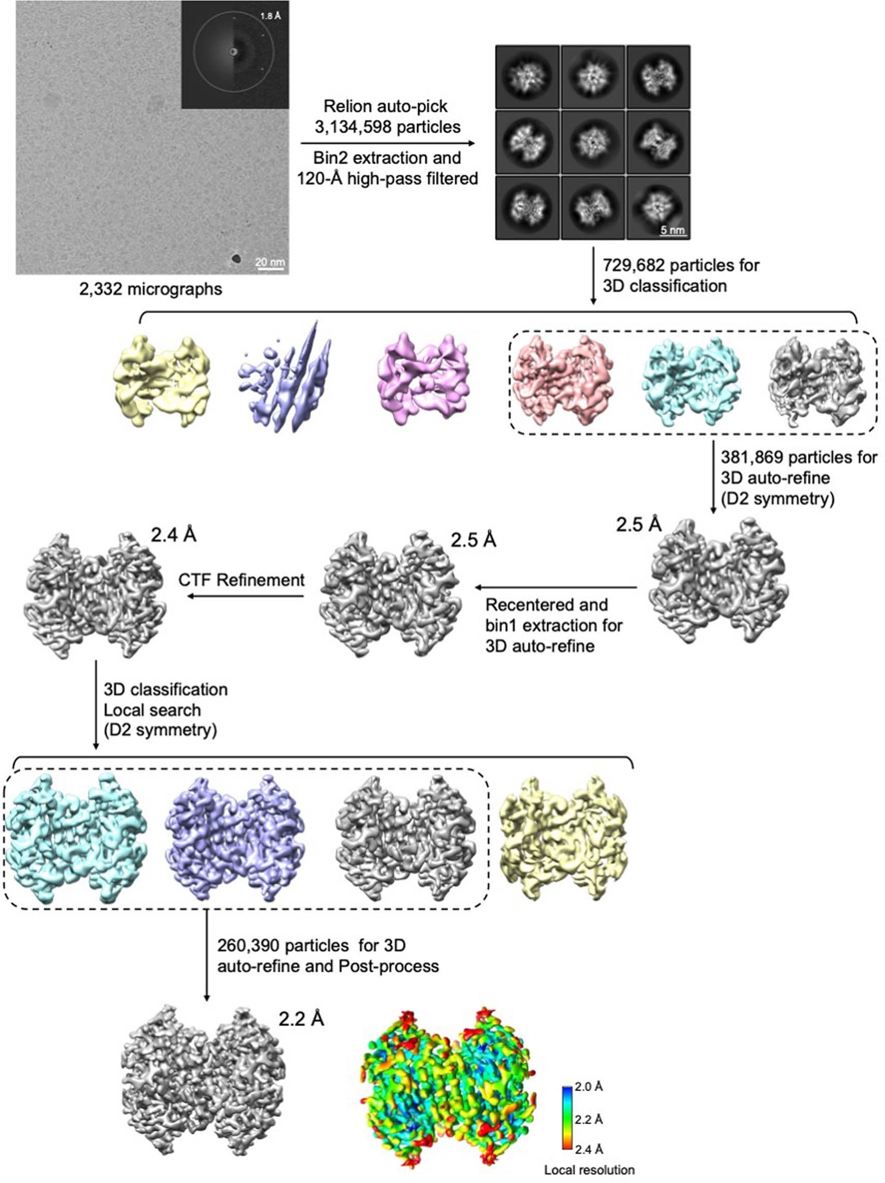 Extended Data Fig. 10