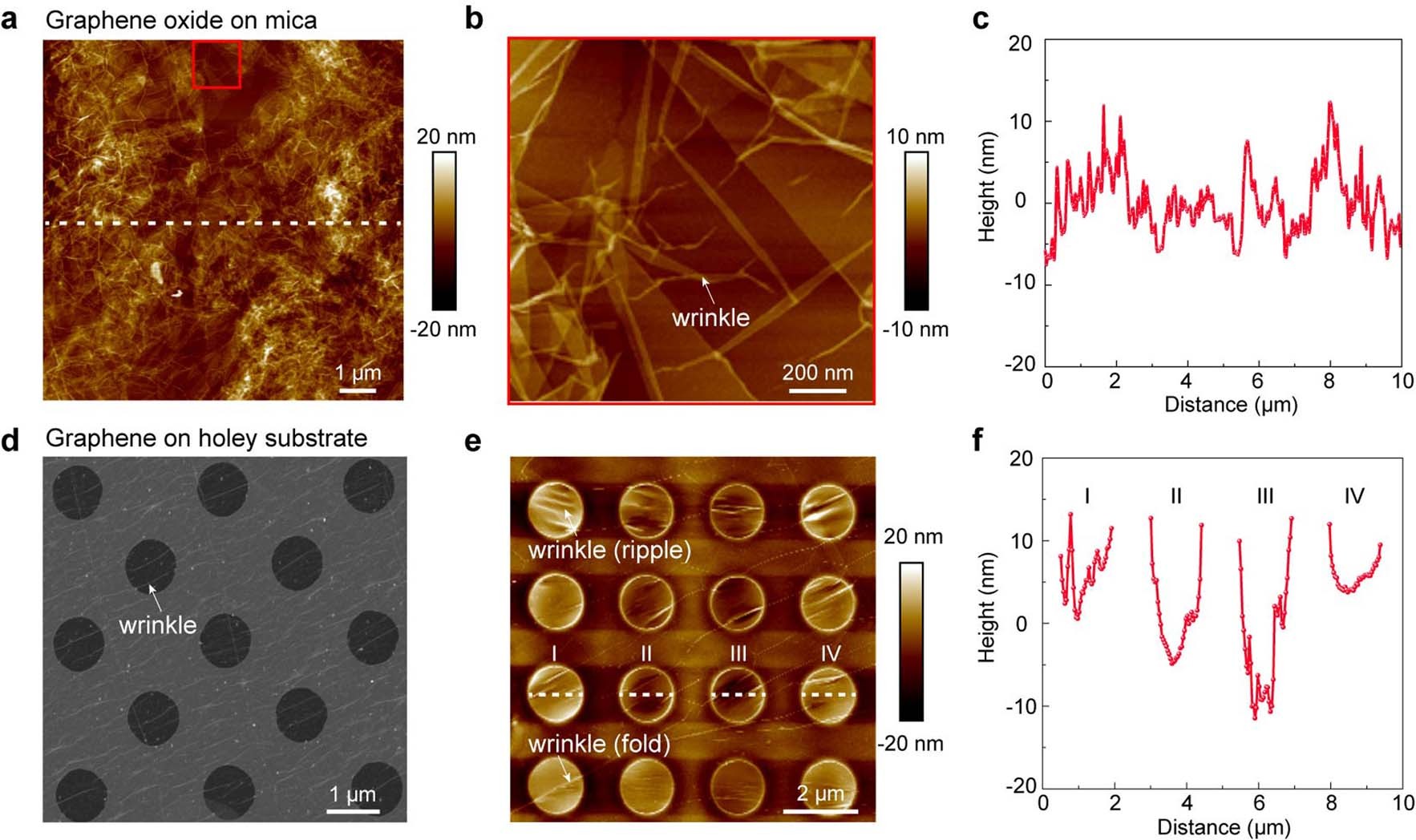 Extended Data Fig. 1: Roughness of graphene oxide on mica and suspended graphene membranes on the holey substrate.