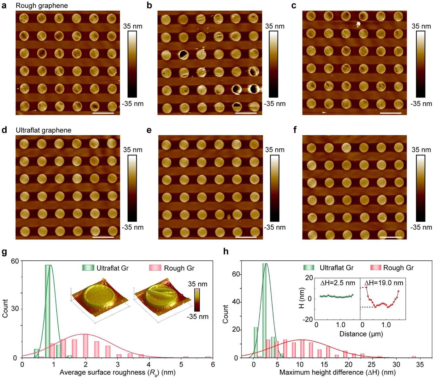 Extended Data Fig. 4: Surface roughness of UFG and rough graphene.