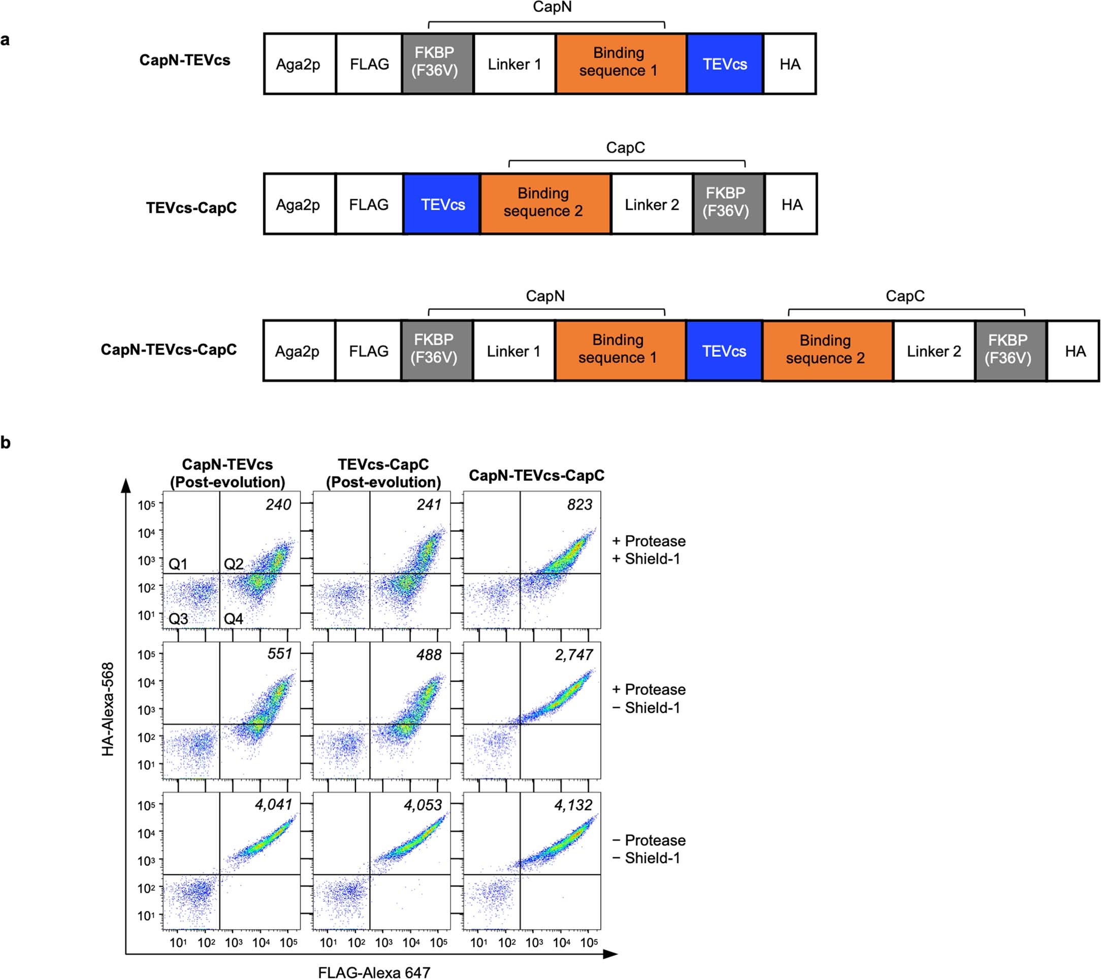 Extended Data Fig. 4