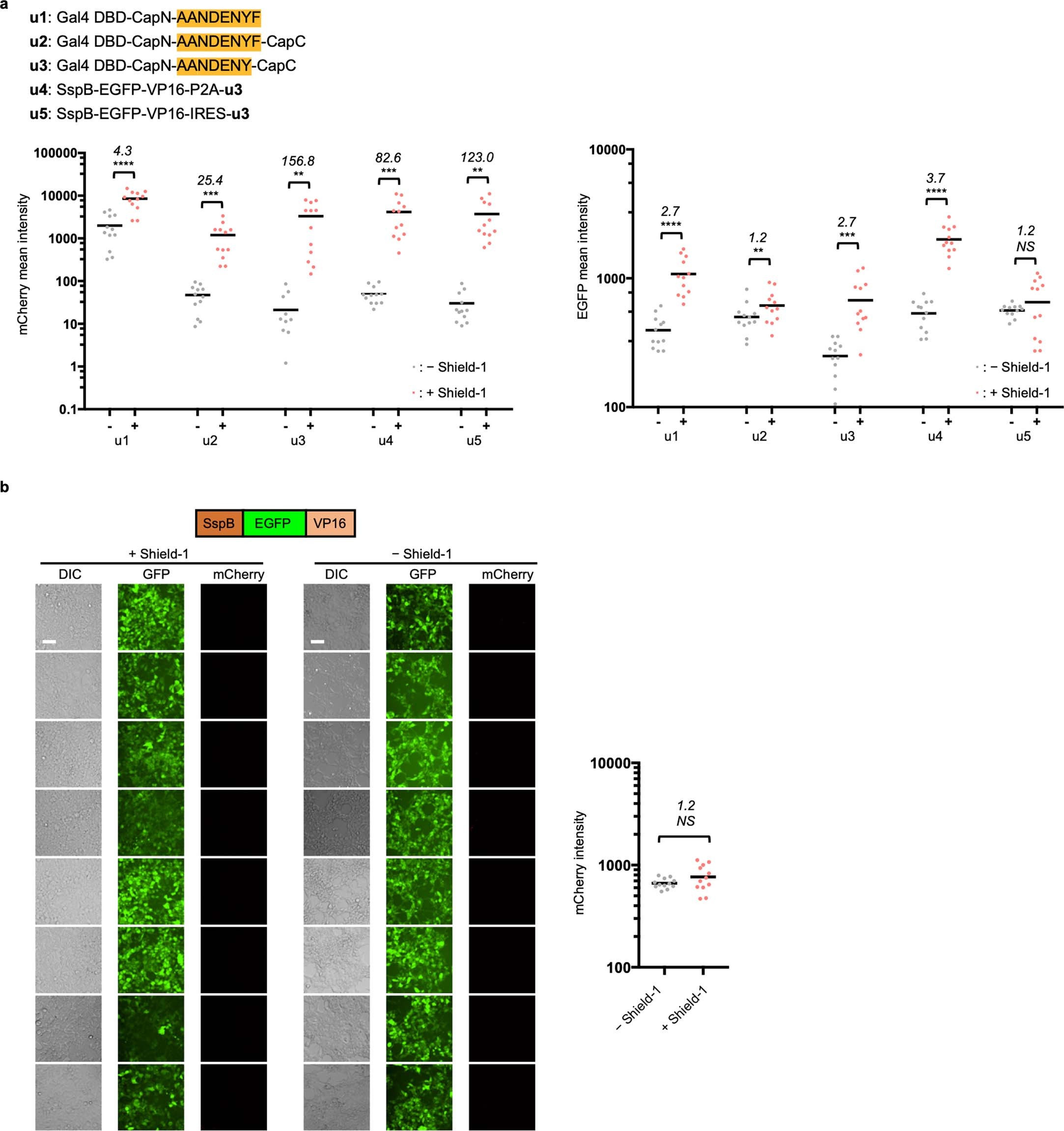 Extended Data Fig. 6