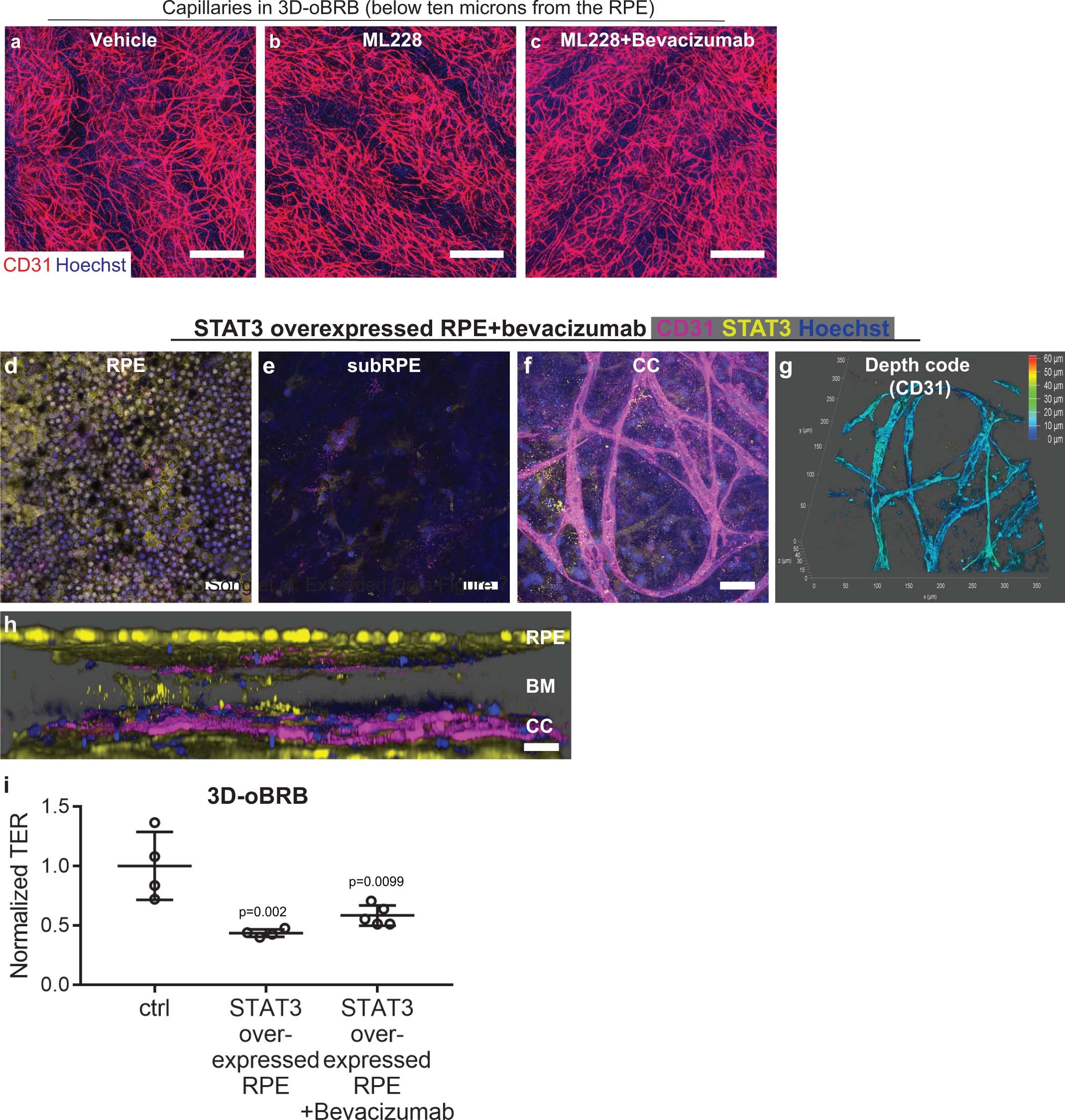 Extended Data Fig. 9