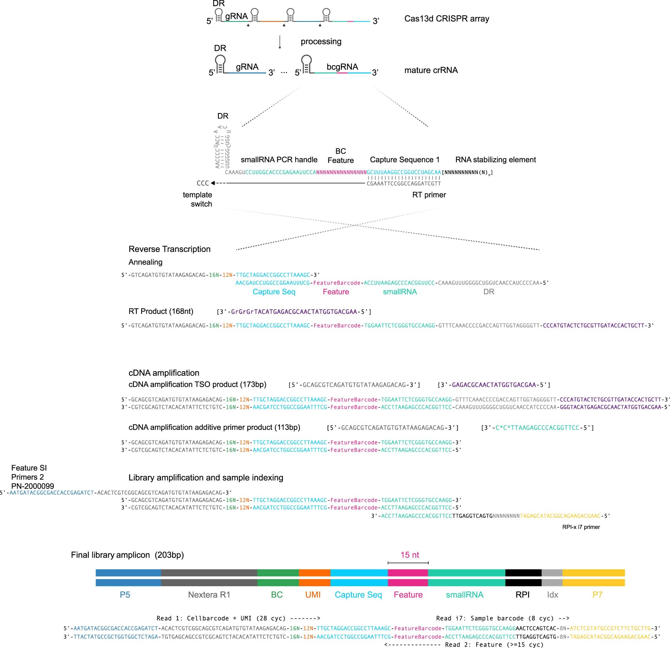 Extended Data Fig. 2