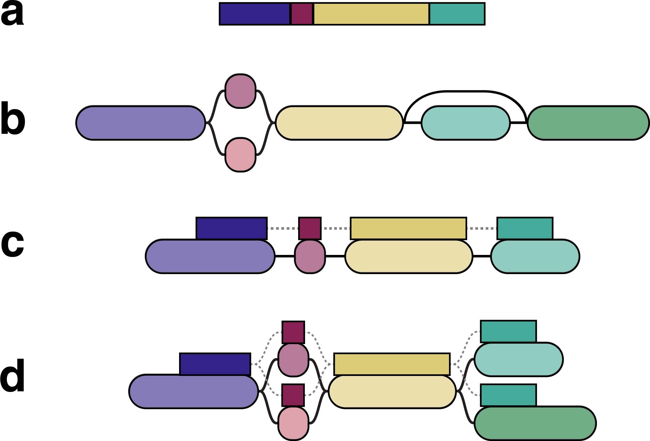 Extended Data Fig. 1: Diagram of a multipath alignment.