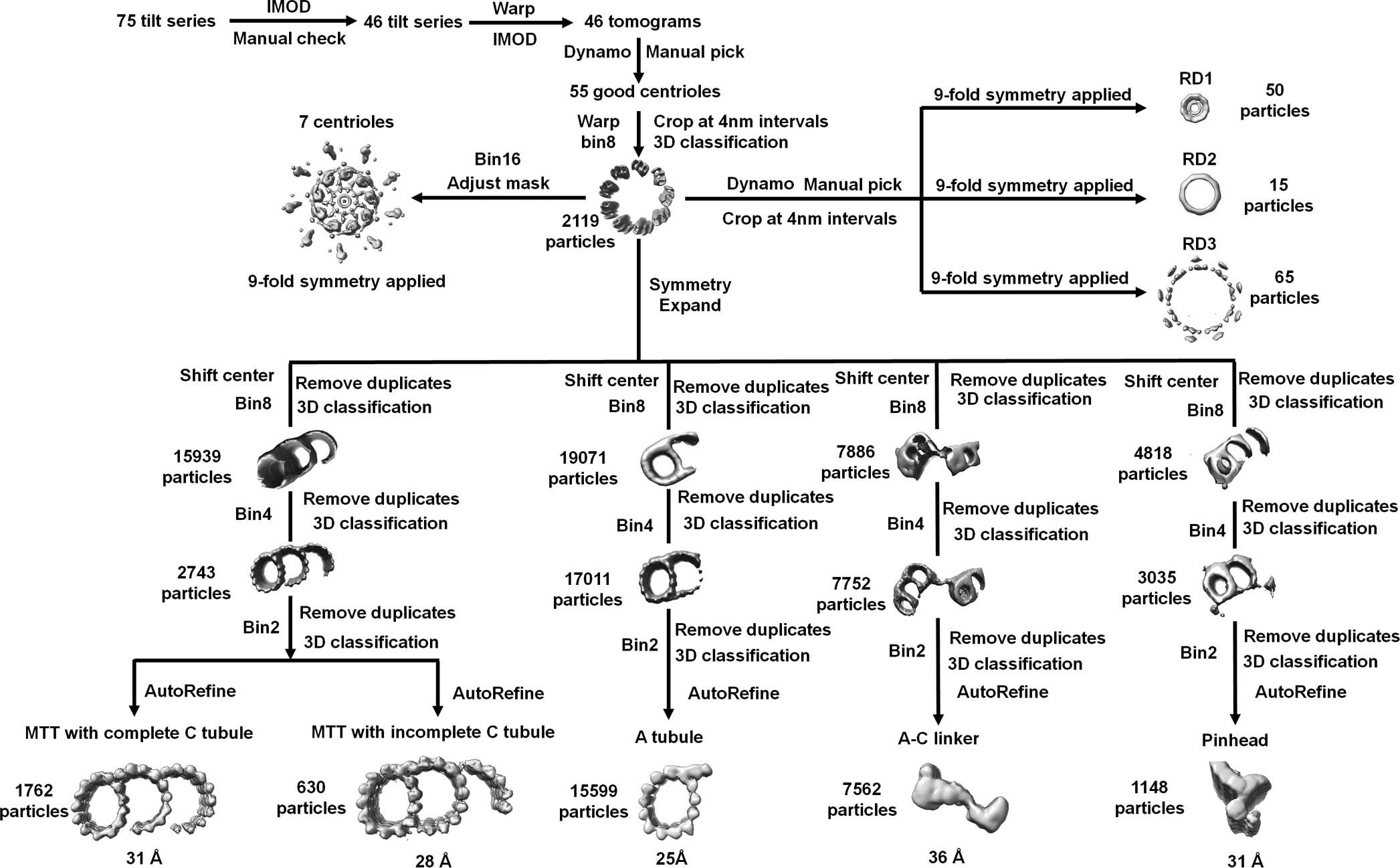 Extended Data Fig. 4