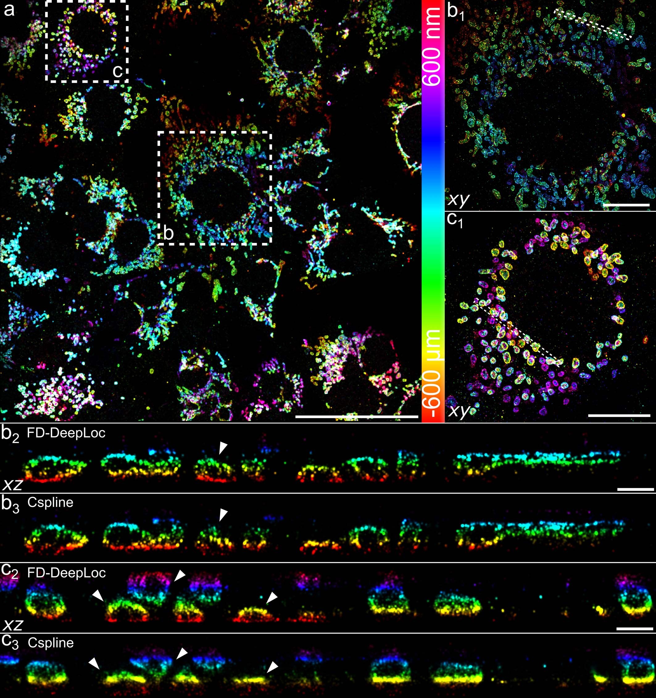 Extended Data Fig. 7