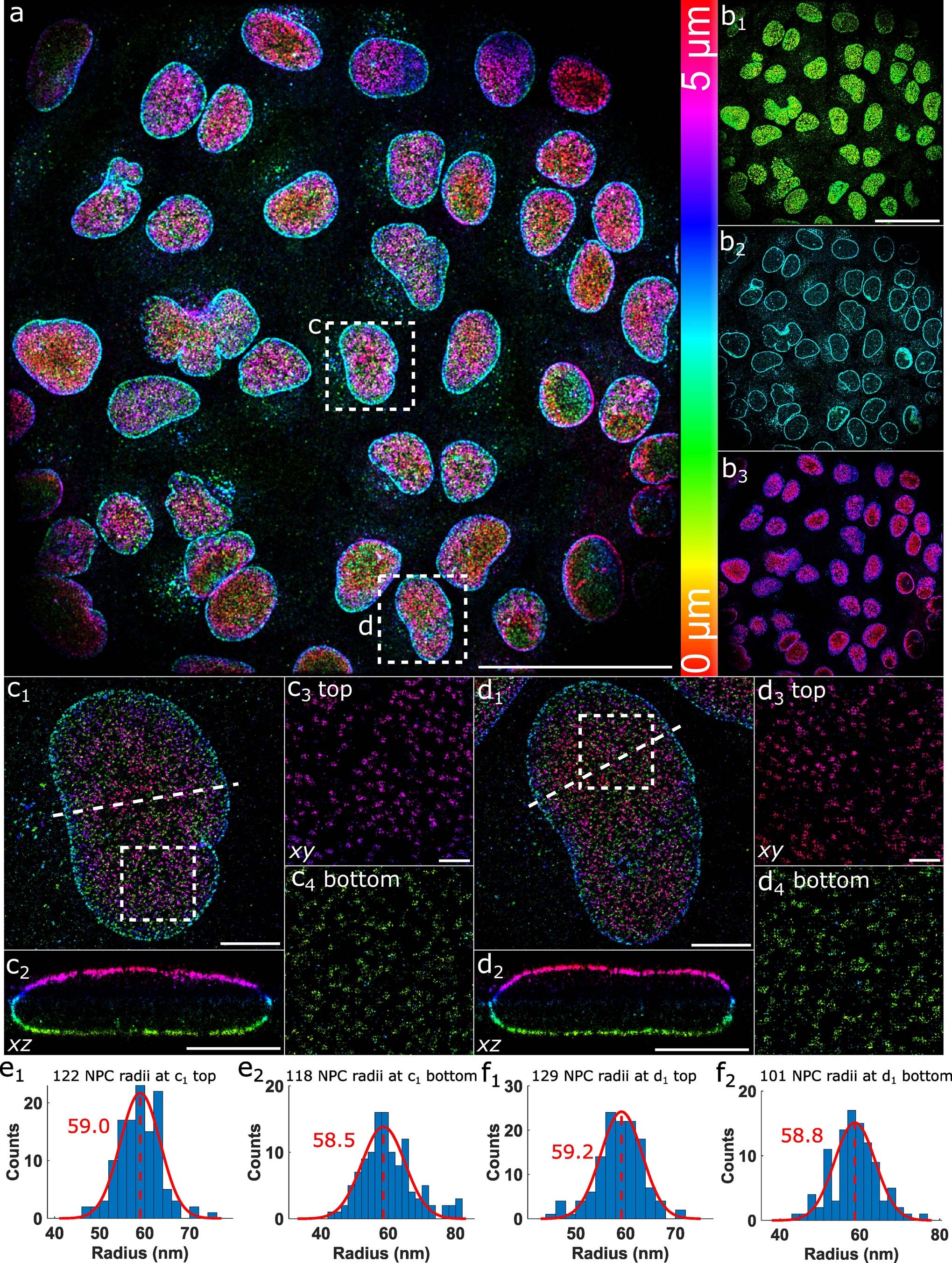 Extended Data Fig. 8