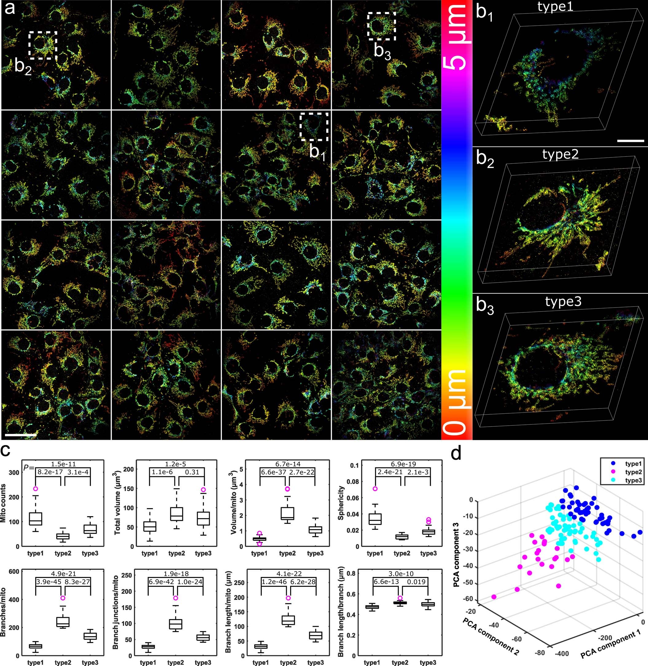 Extended Data Fig. 9