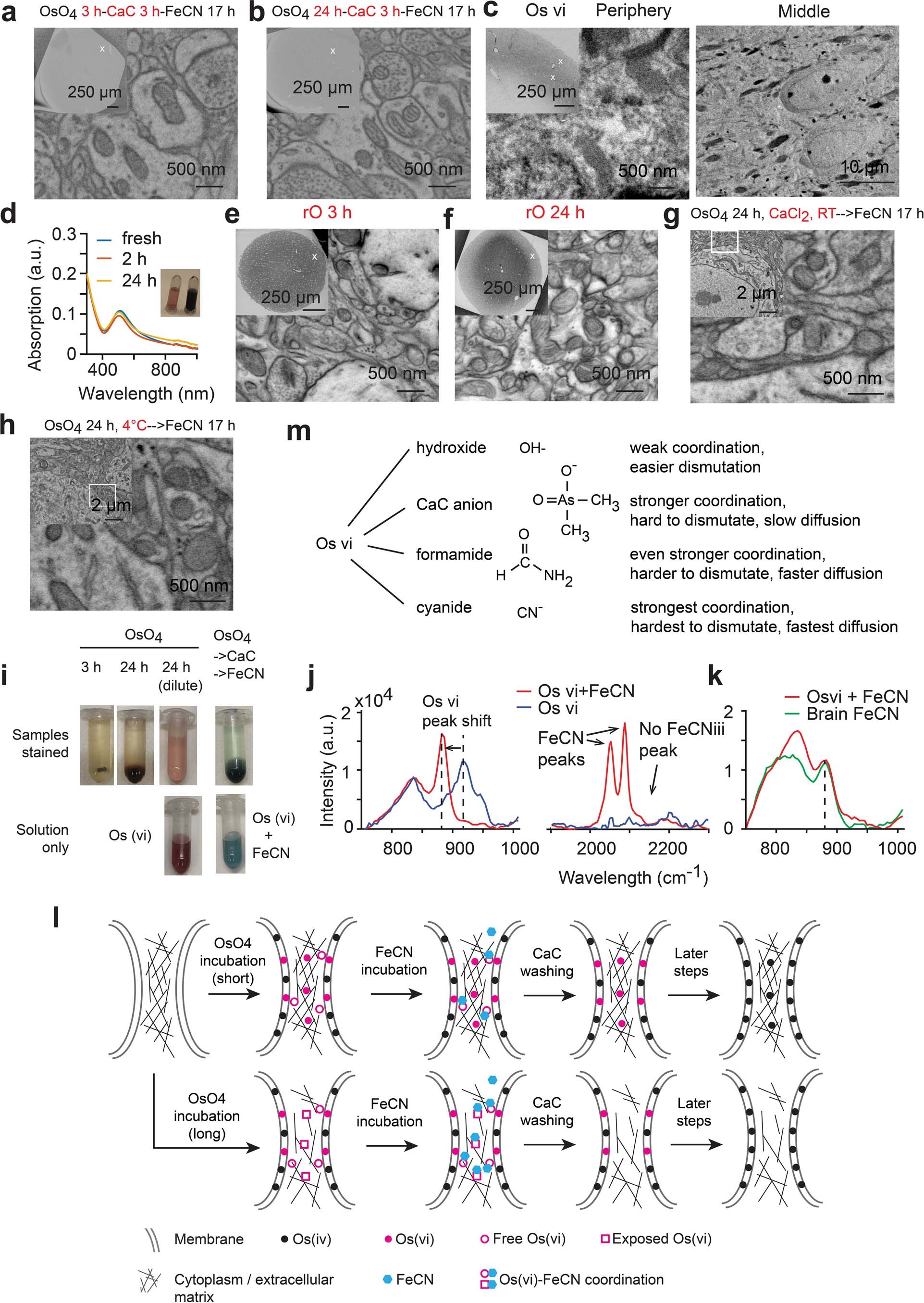 Extended Data Fig. 5