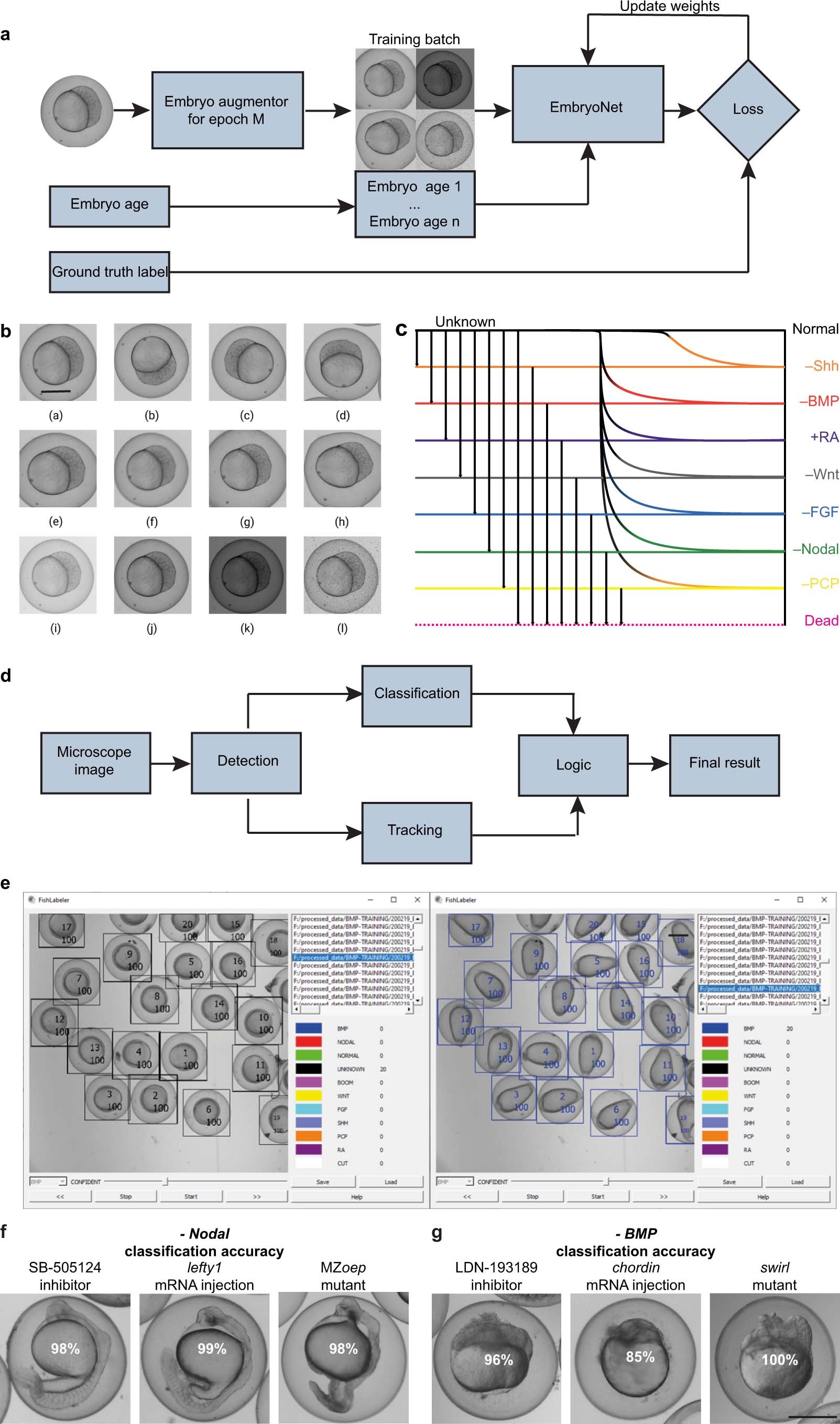 Extended Data Fig. 1
