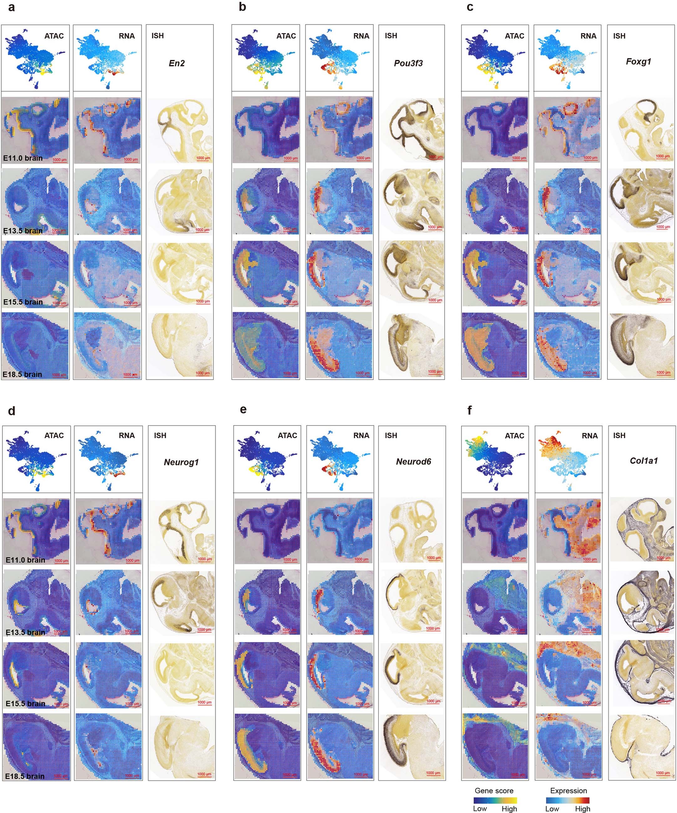 Extended Data Fig. 5