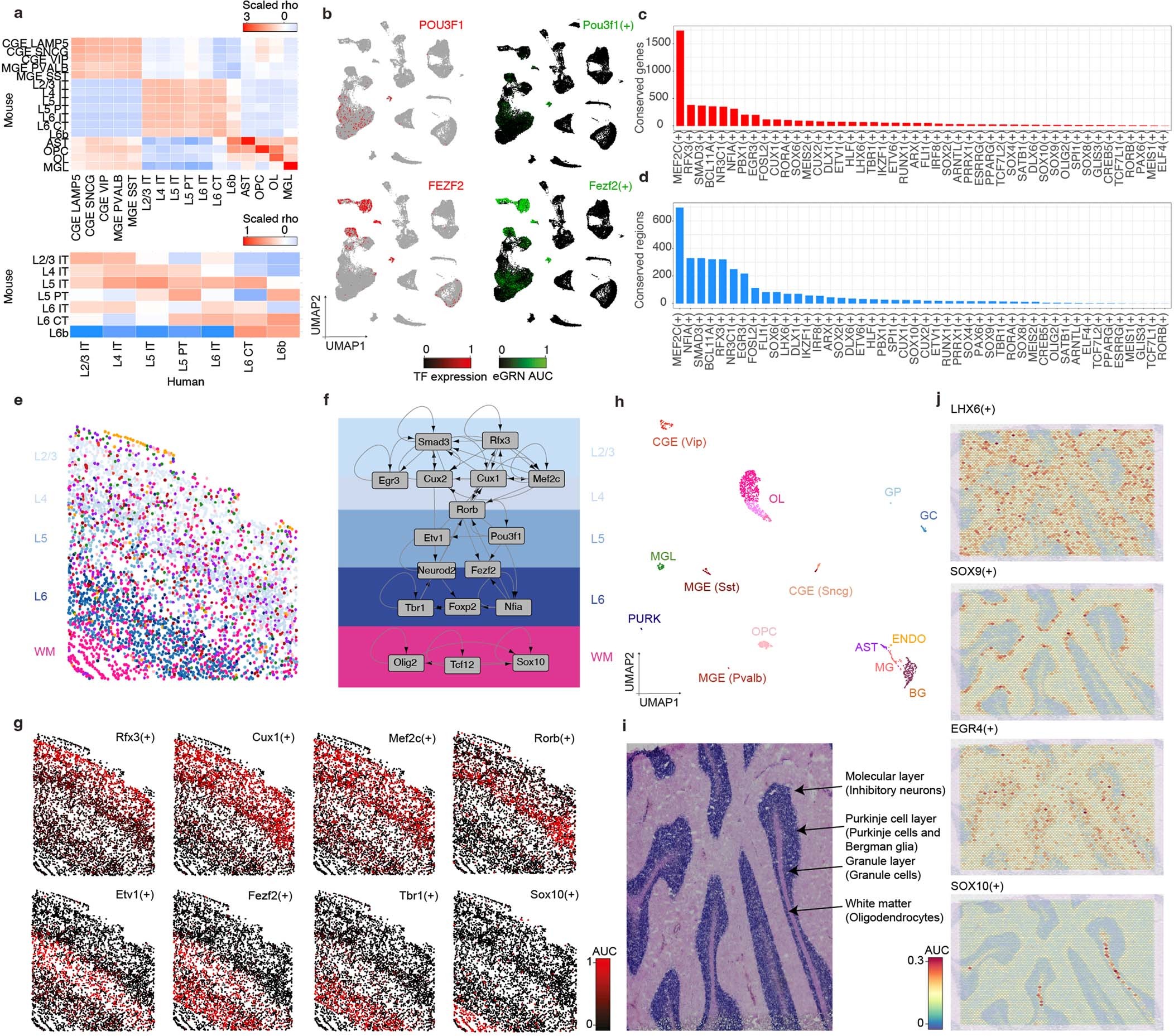 Extended Data Fig. 9