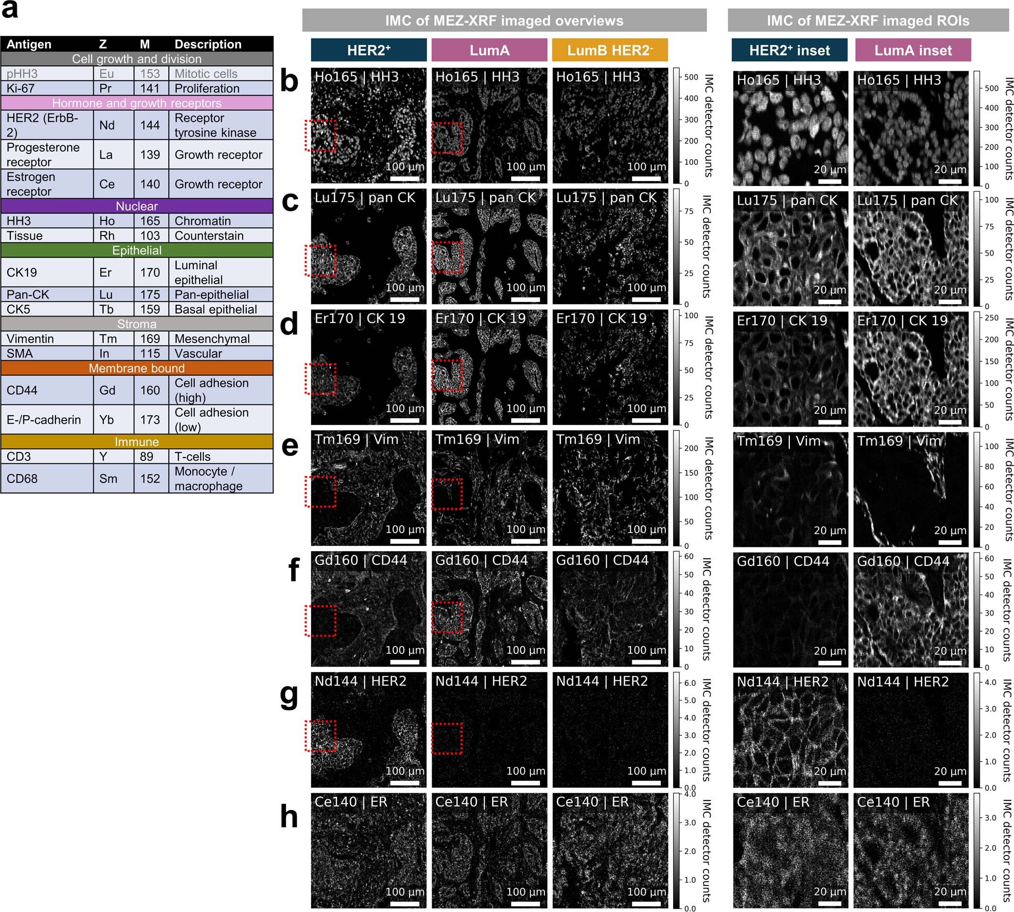 Extended Data Fig. 5