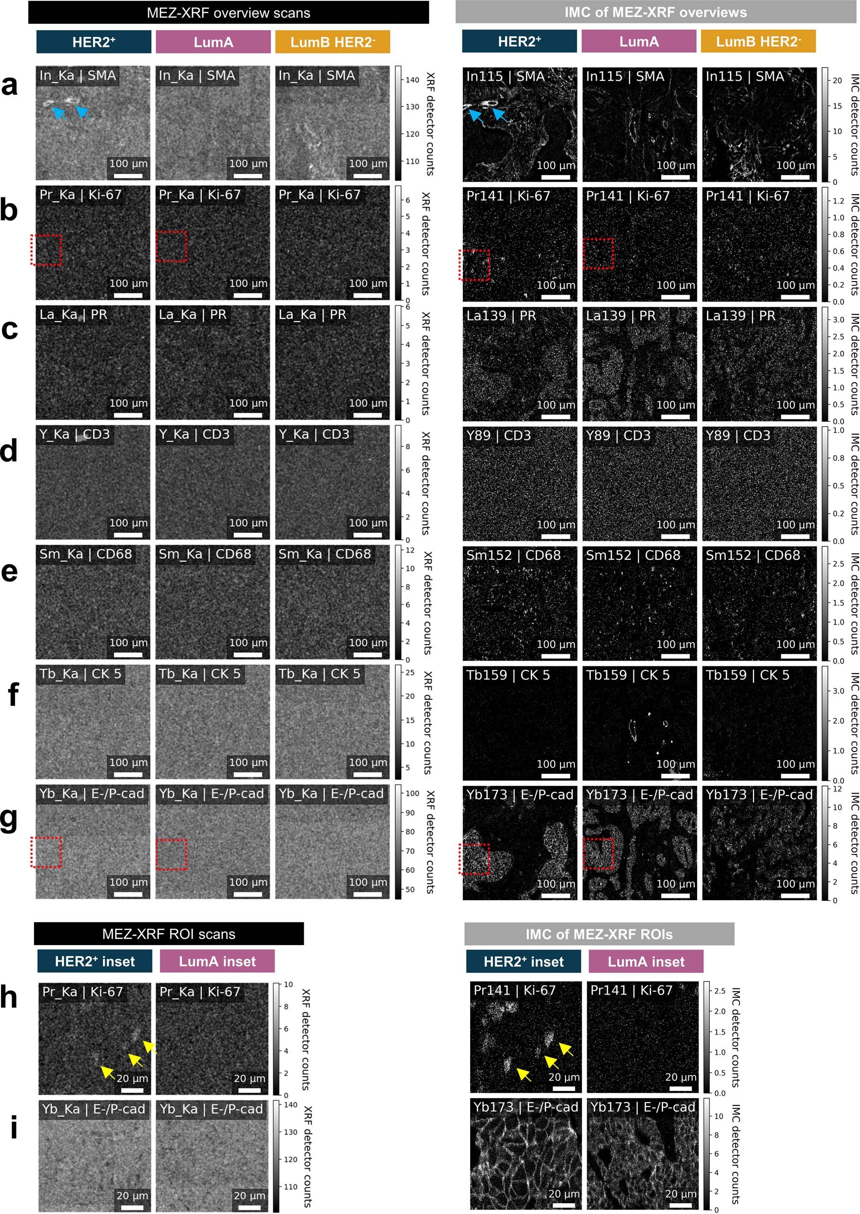 Extended Data Fig. 6