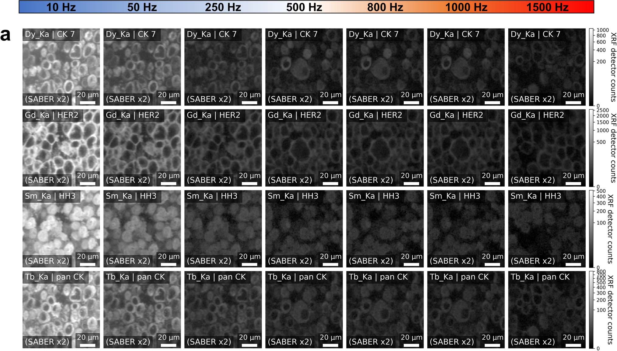 Extended Data Fig. 8
