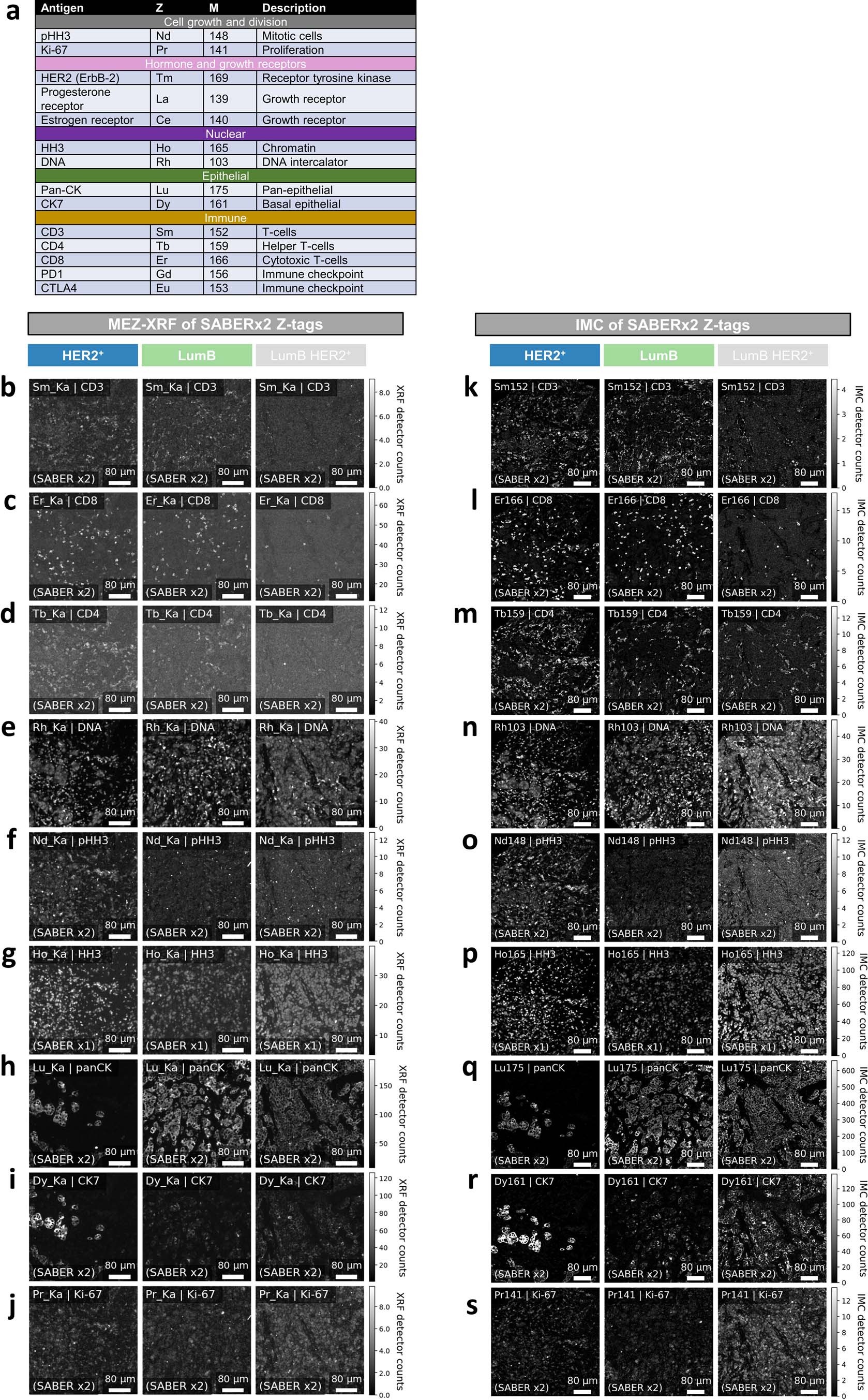 Extended Data Fig. 10