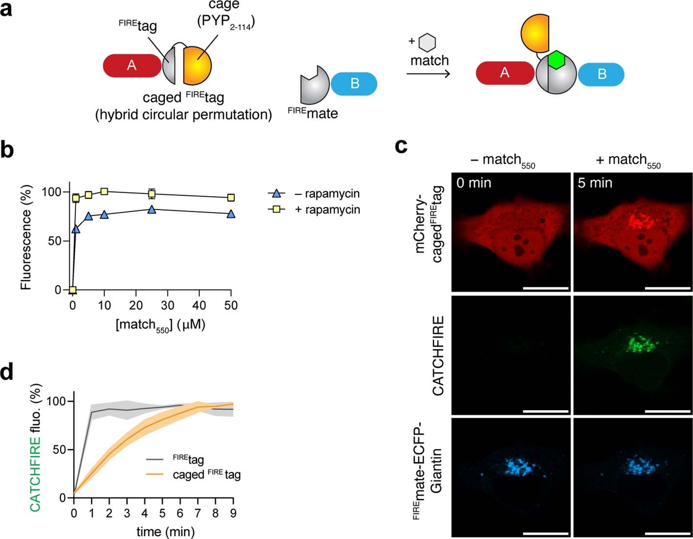 Extended Data Fig. 8
