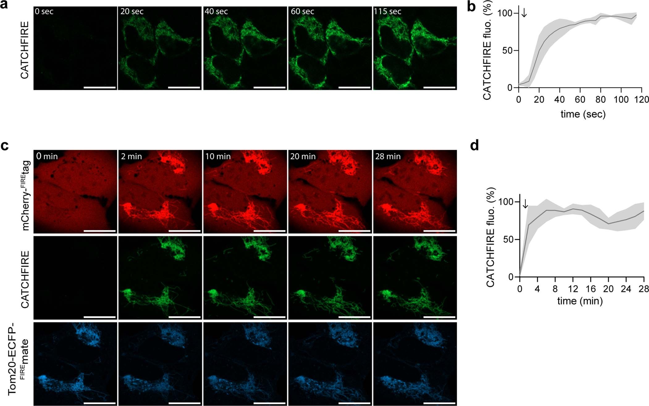 Extended Data Fig. 3