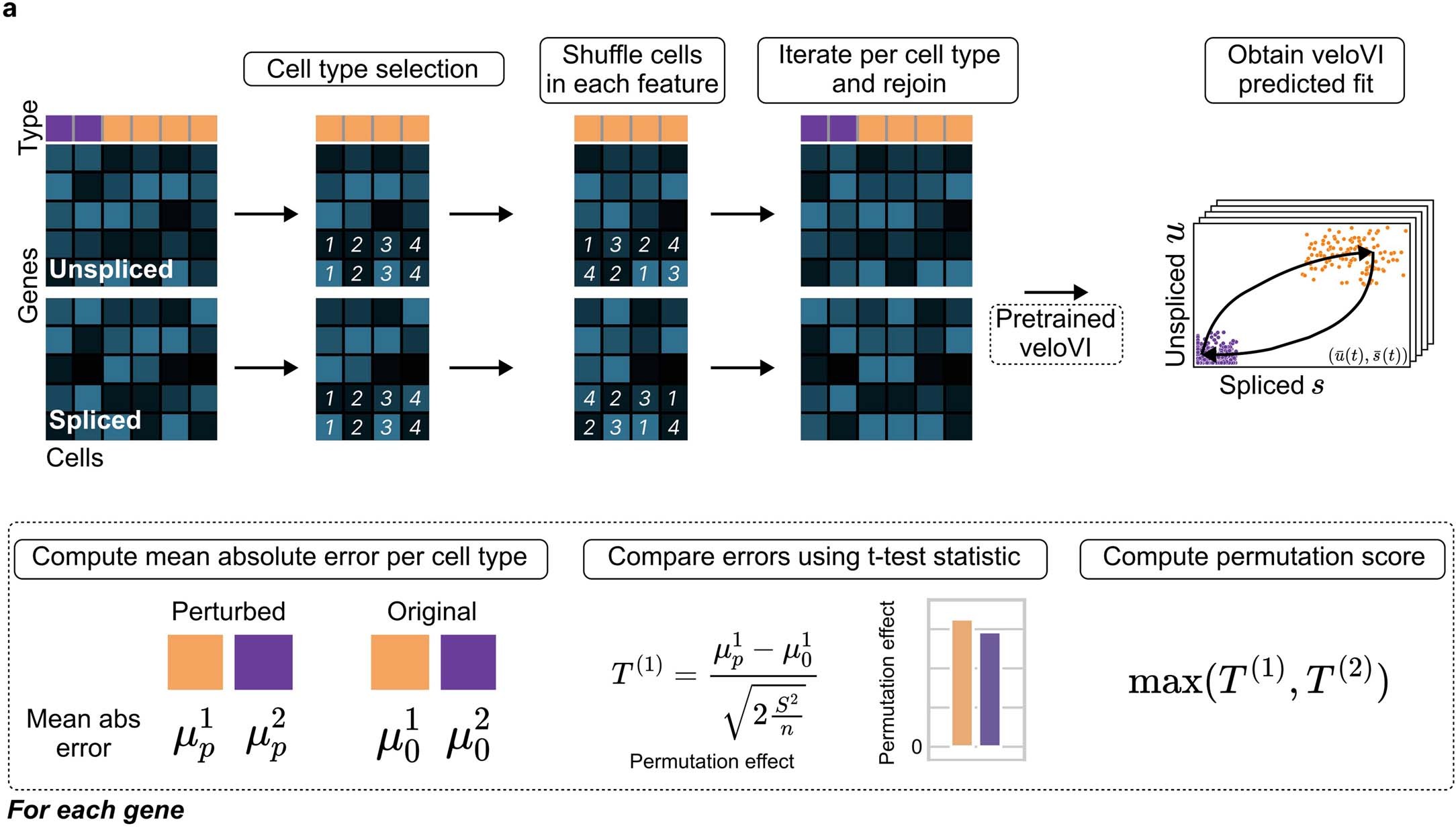 Extended Data Fig. 6: Overview of permutation score construction.