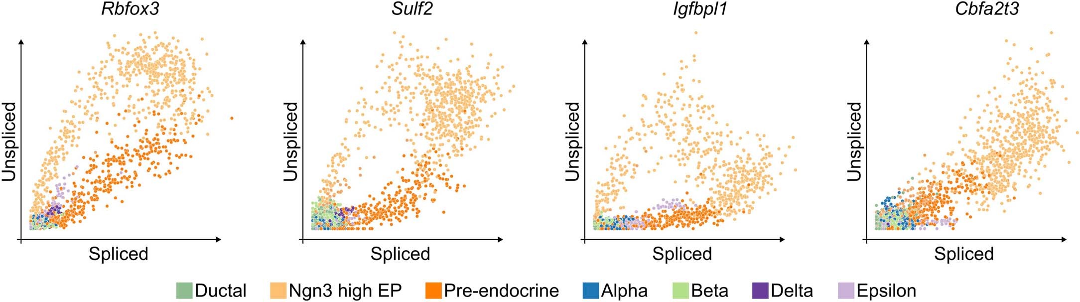 Extended Data Fig. 3: Phase portraits in pancreas endocrinogenesis.