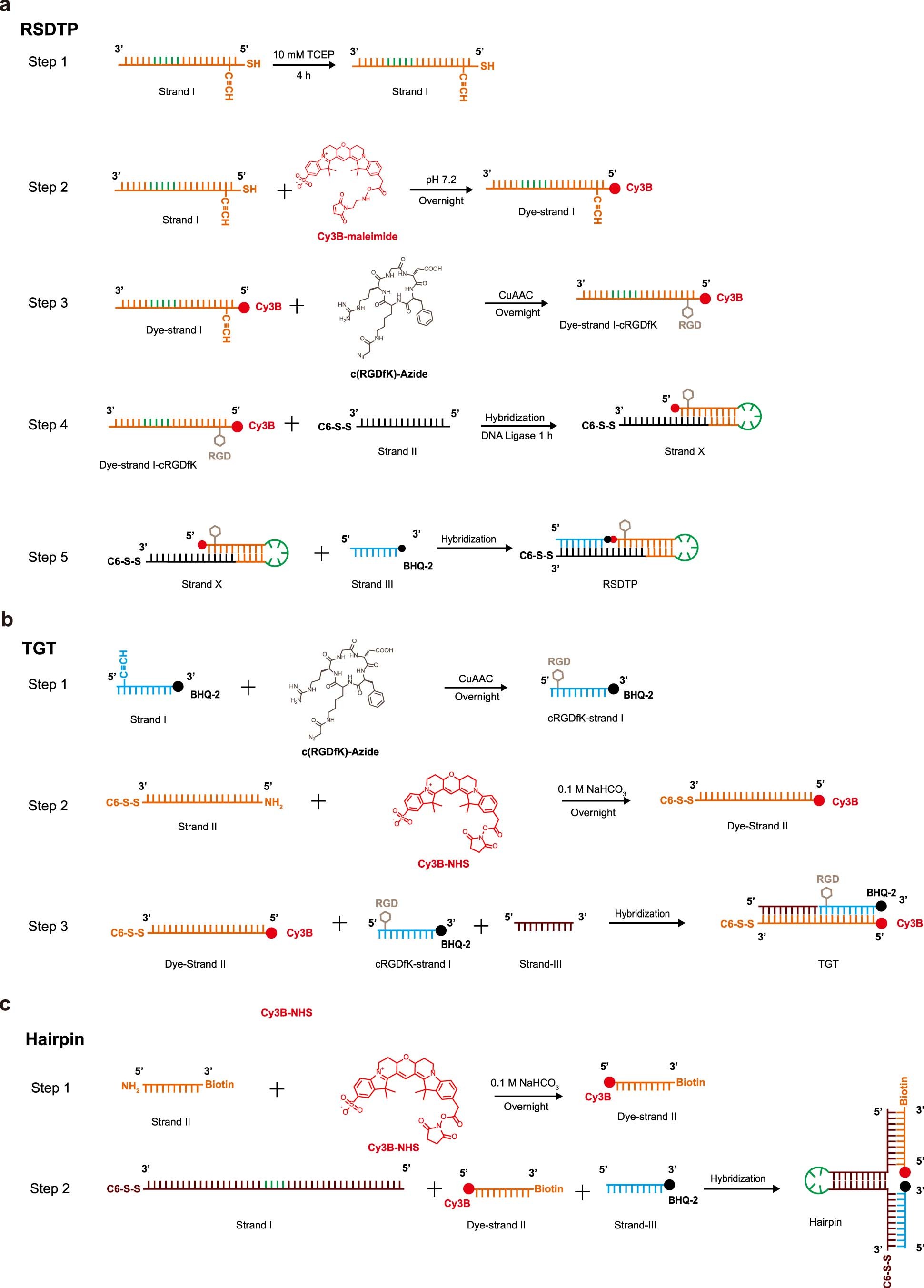 Extended Data Fig. 1: Synthesis schemes of molecular tension probes.