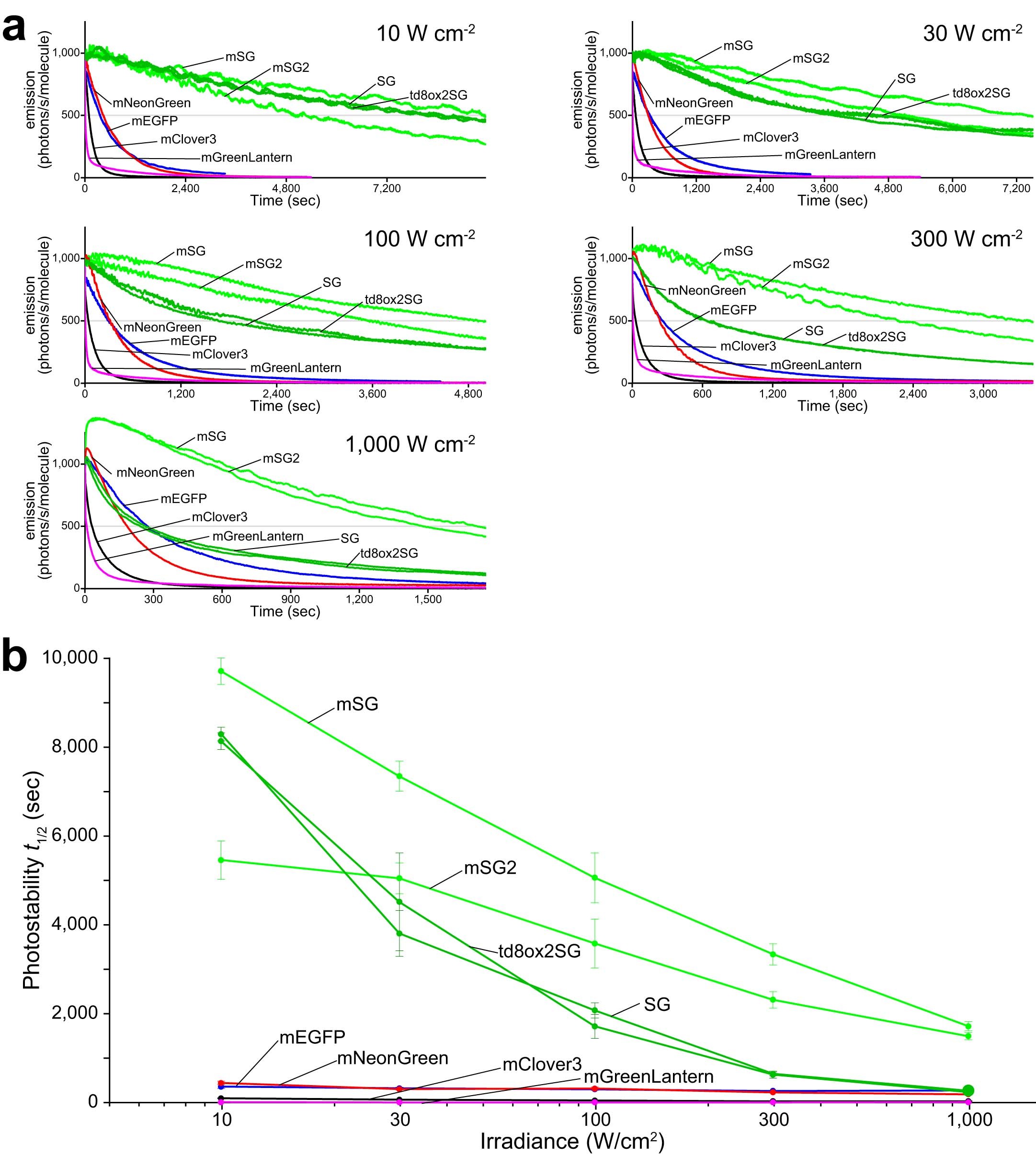 Extended Data Fig. 10: Photostability of StayGold, mStayGold, mStayGold2, and reference green-emitting FPs in live cells under continuous WF illumination with high irradiances.