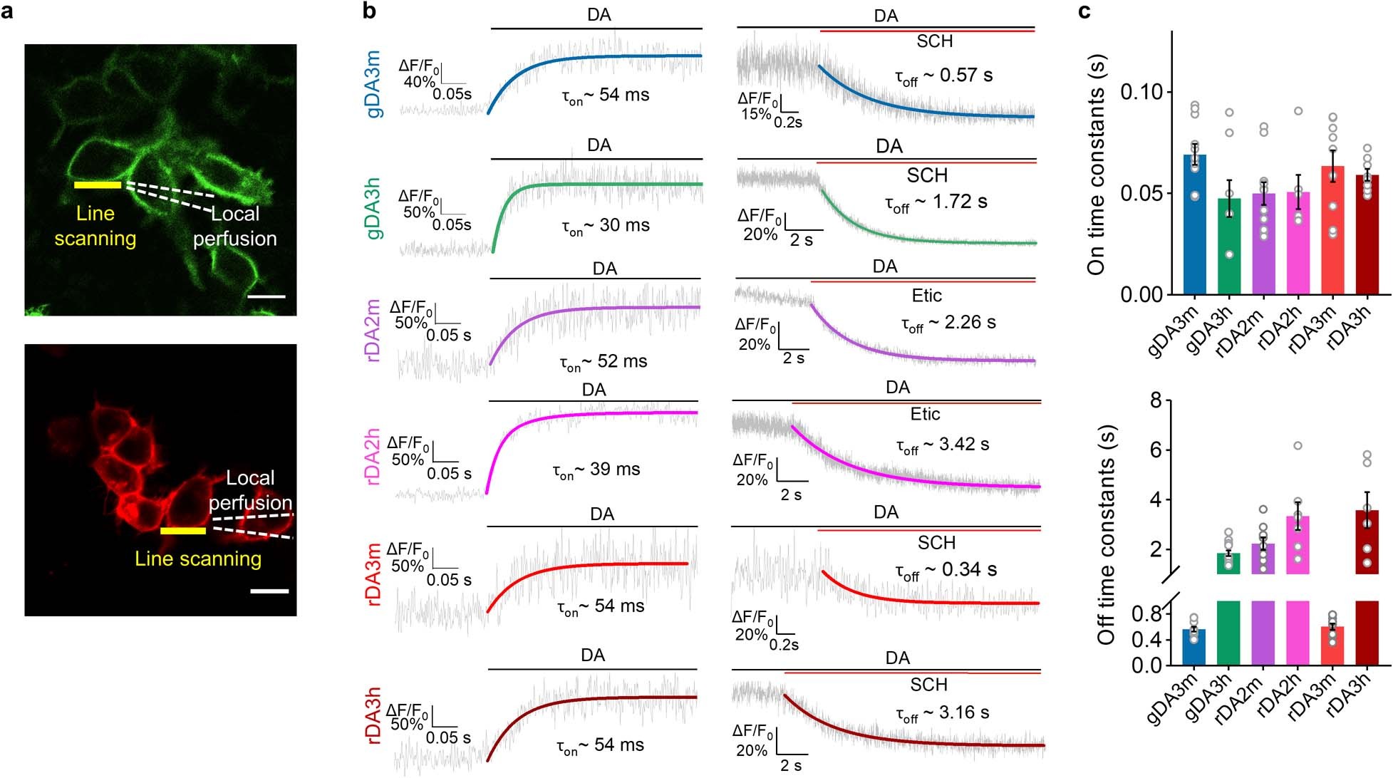Extended Data Fig. 3: Kinetics measurement of GRABDA sensors in HEK293T cells.