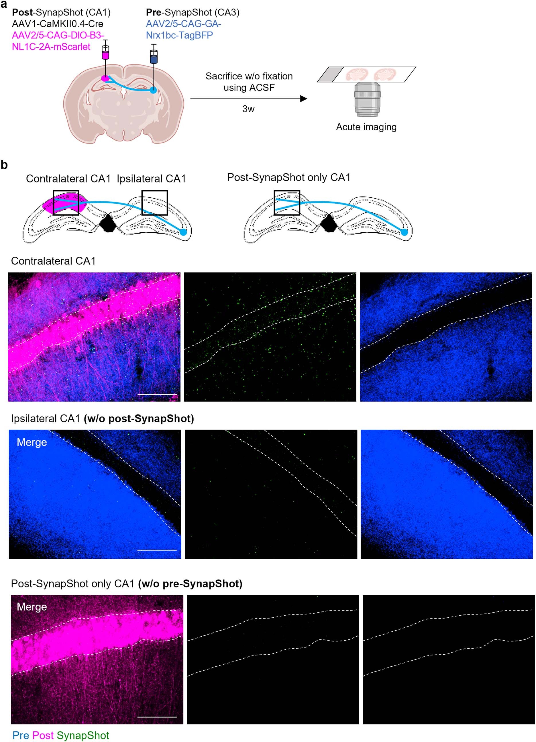 Extended Data Fig. 8