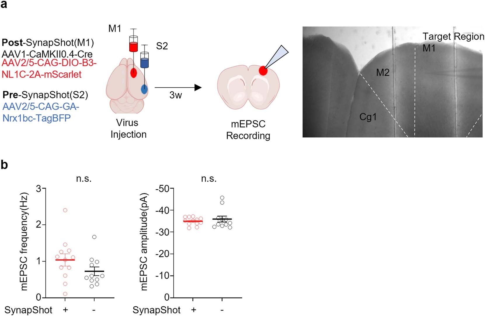 Extended Data Fig. 10