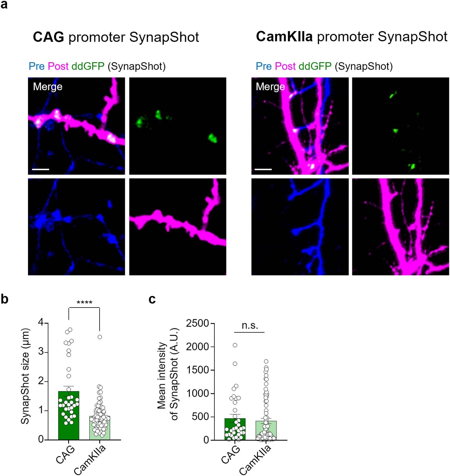 Extended Data Fig. 4